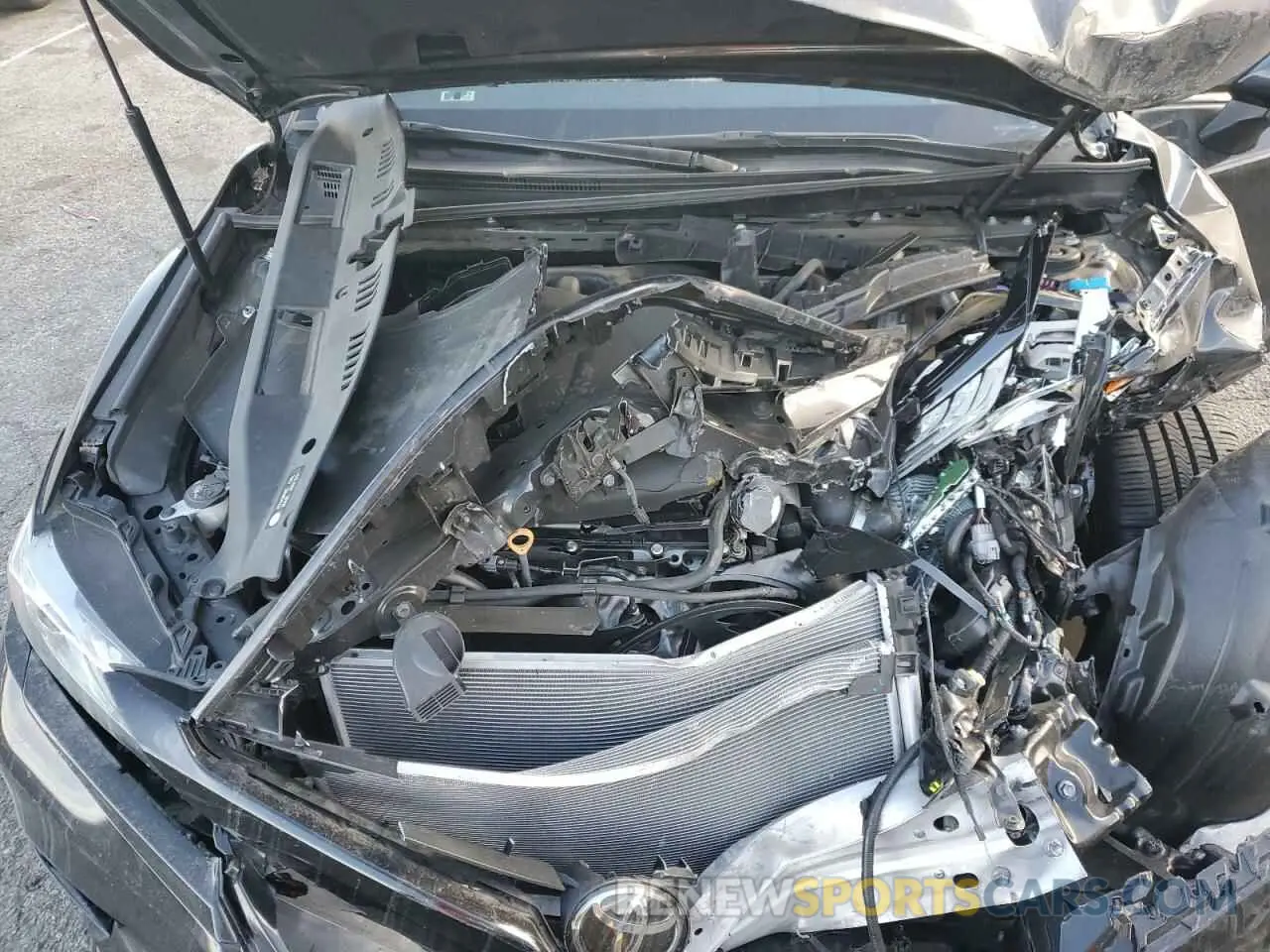 11 fotografías del automóvil dañado 4T1BZ1HK0KU031220 TOYOTA CAMRY 2019