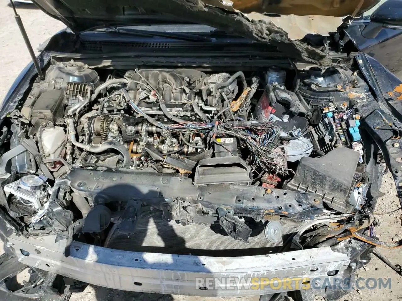12 fotografías del automóvil dañado 4T1BZ1HK4KU030863 TOYOTA CAMRY 2019