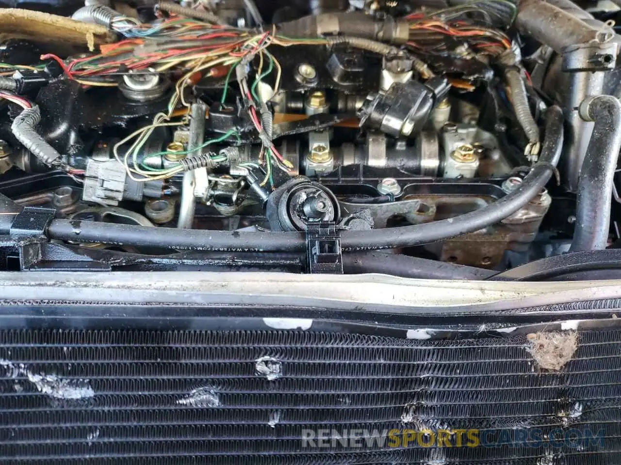 11 fotografías del automóvil dañado 4T1BZ1HK5KU025252 TOYOTA CAMRY 2019