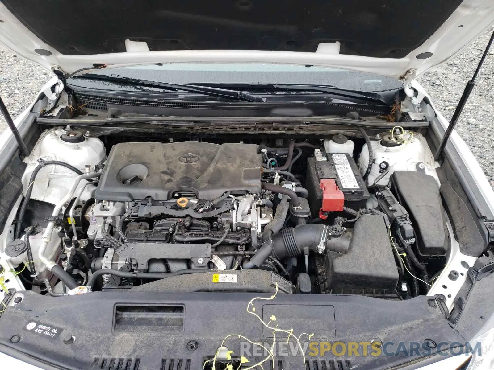 7 fotografías del automóvil dañado 4T1C11AK0LU914113 TOYOTA CAMRY 2020