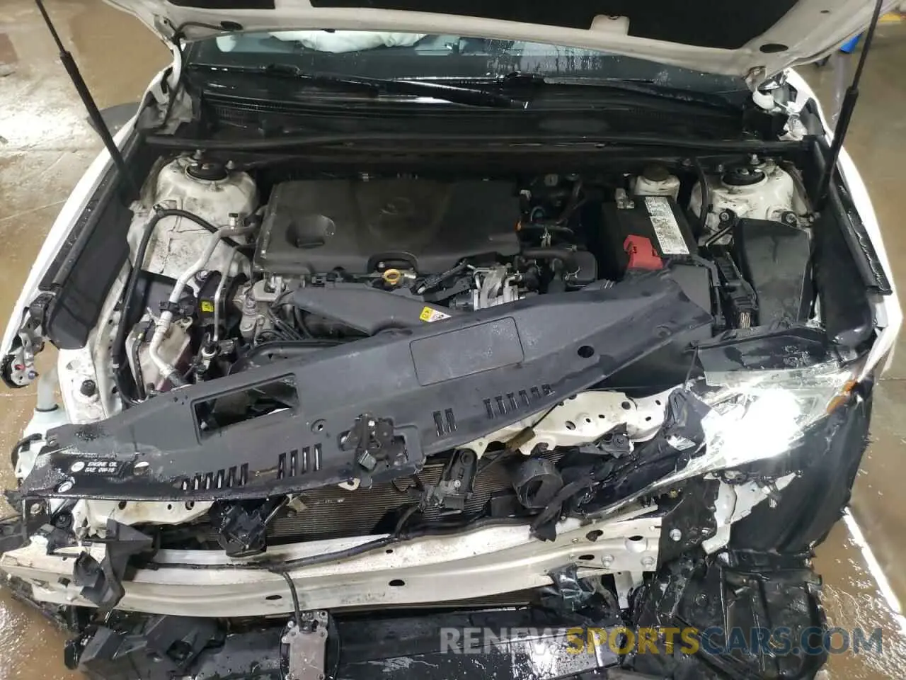 11 fotografías del automóvil dañado 4T1C11AK0LU915391 TOYOTA CAMRY 2020