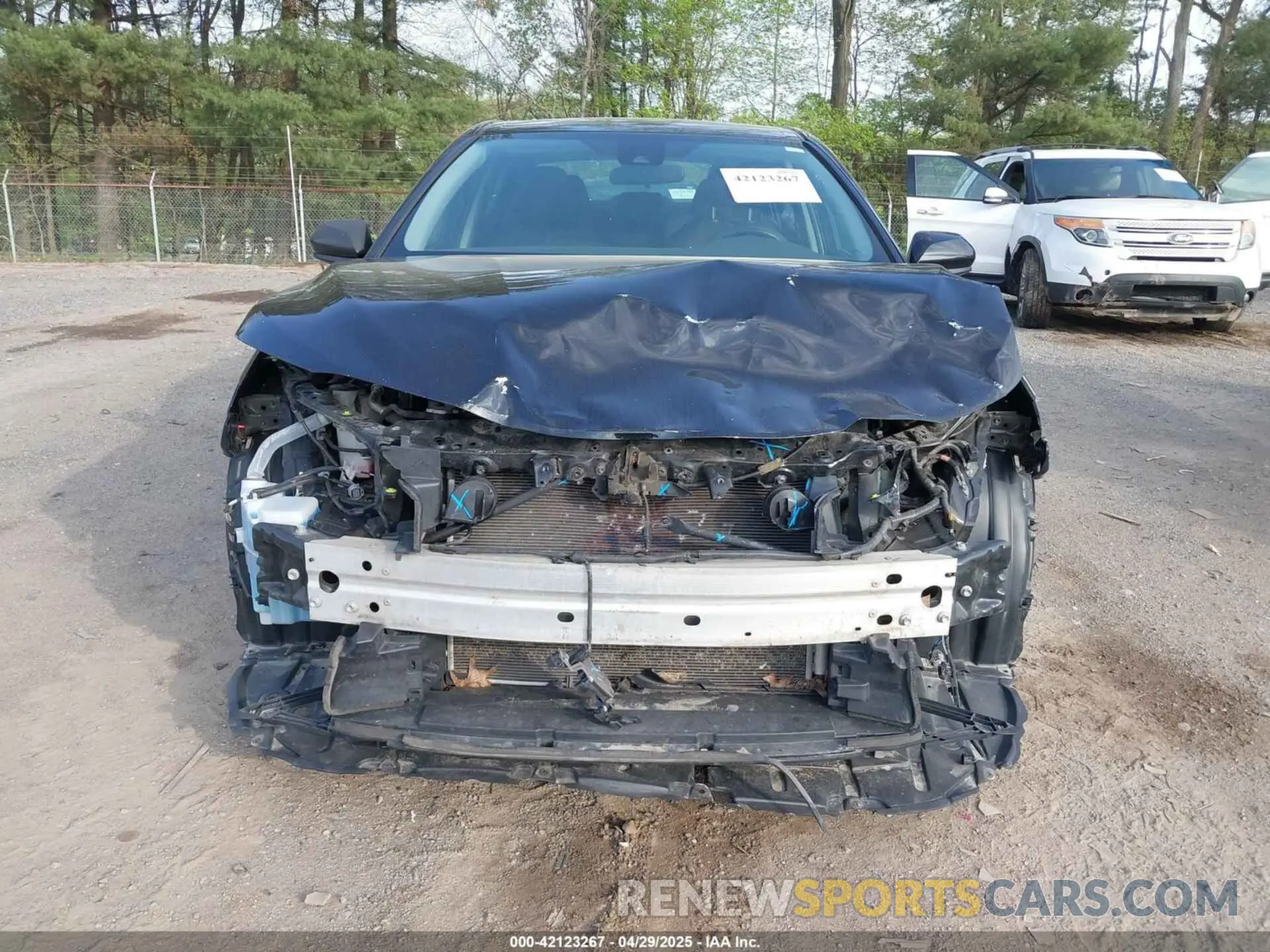 13 fotografías del automóvil dañado 4T1C11AK2LU393699 TOYOTA CAMRY 2020