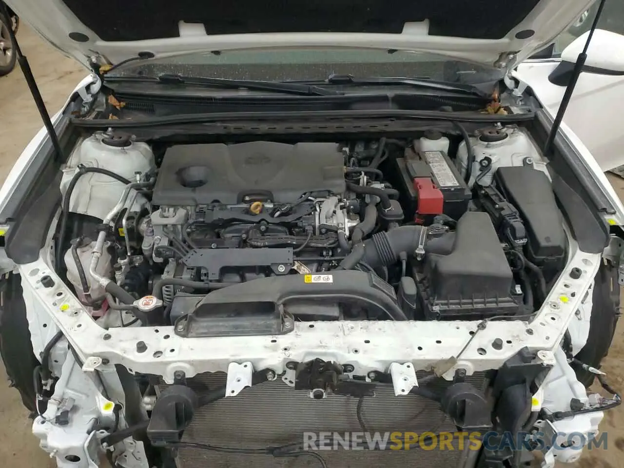 11 fotografías del automóvil dañado 4T1C11AK3LU368682 TOYOTA CAMRY 2020