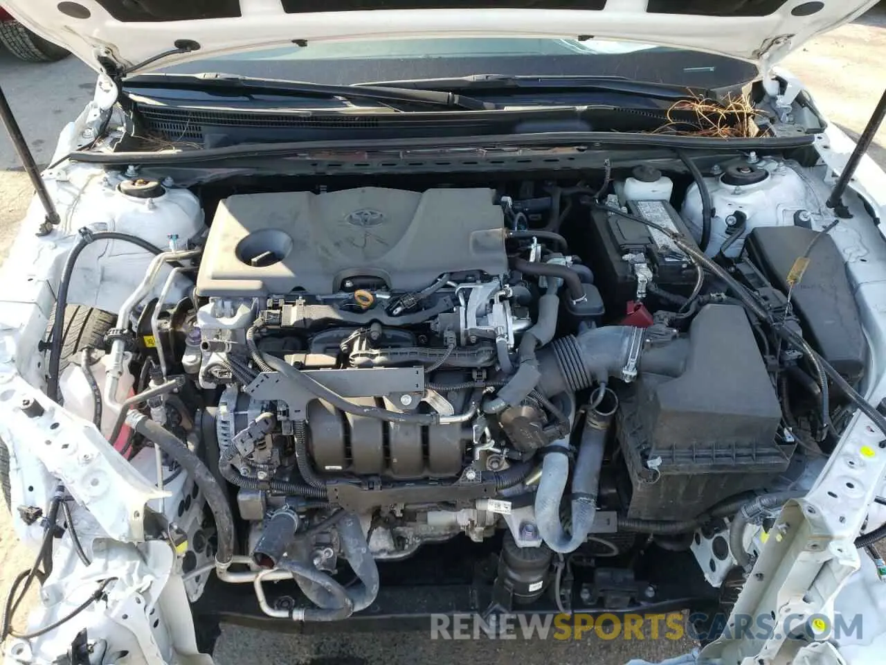 11 fotografías del automóvil dañado 4T1C11AK3LU984320 TOYOTA CAMRY 2020