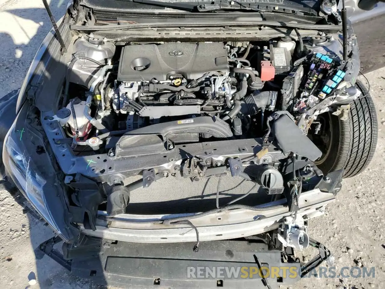 11 fotografías del automóvil dañado 4T1C11AK5LU993360 TOYOTA CAMRY 2020