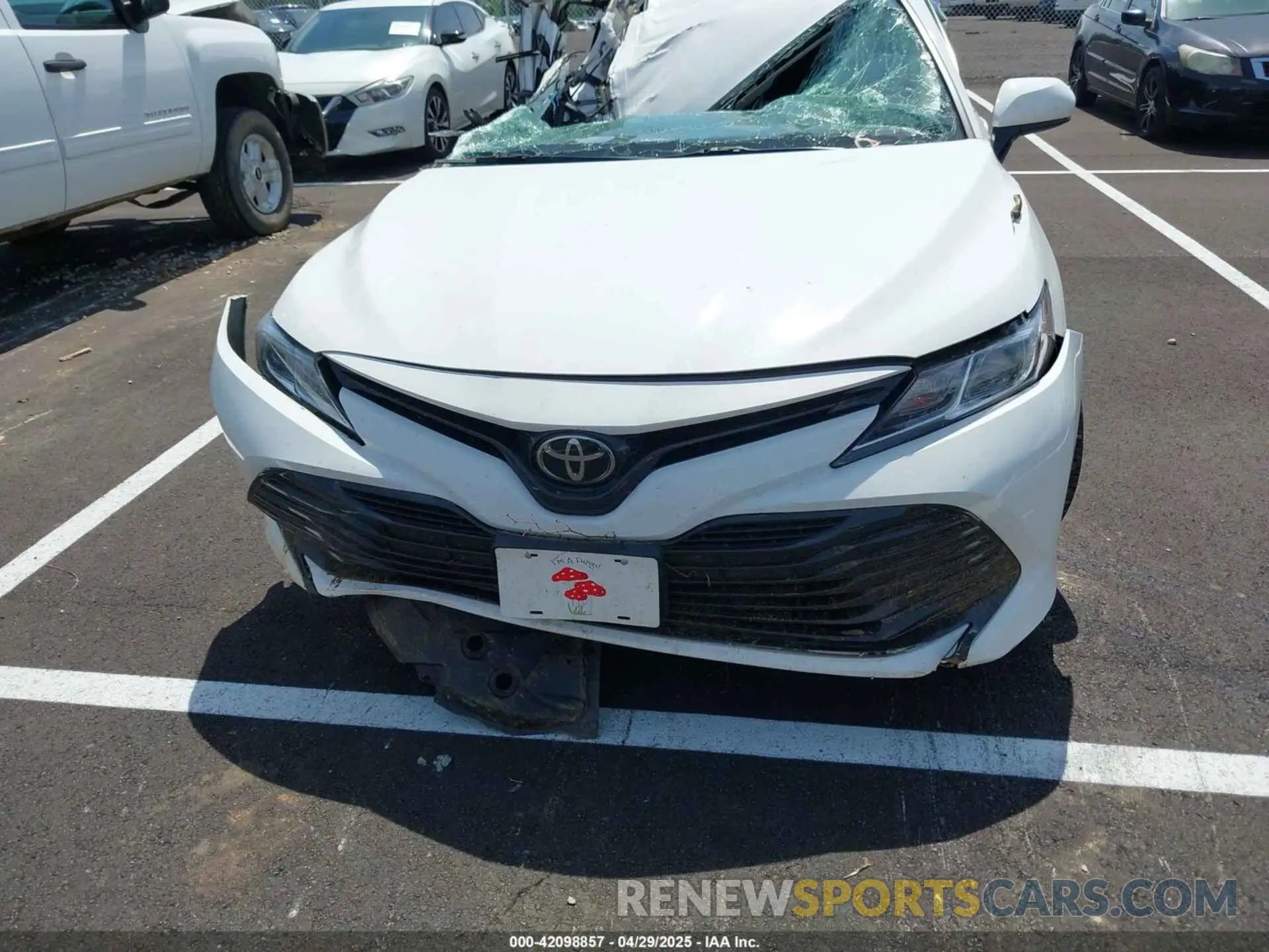 12 fotografías del automóvil dañado 4T1C11AK7LU313359 TOYOTA CAMRY 2020