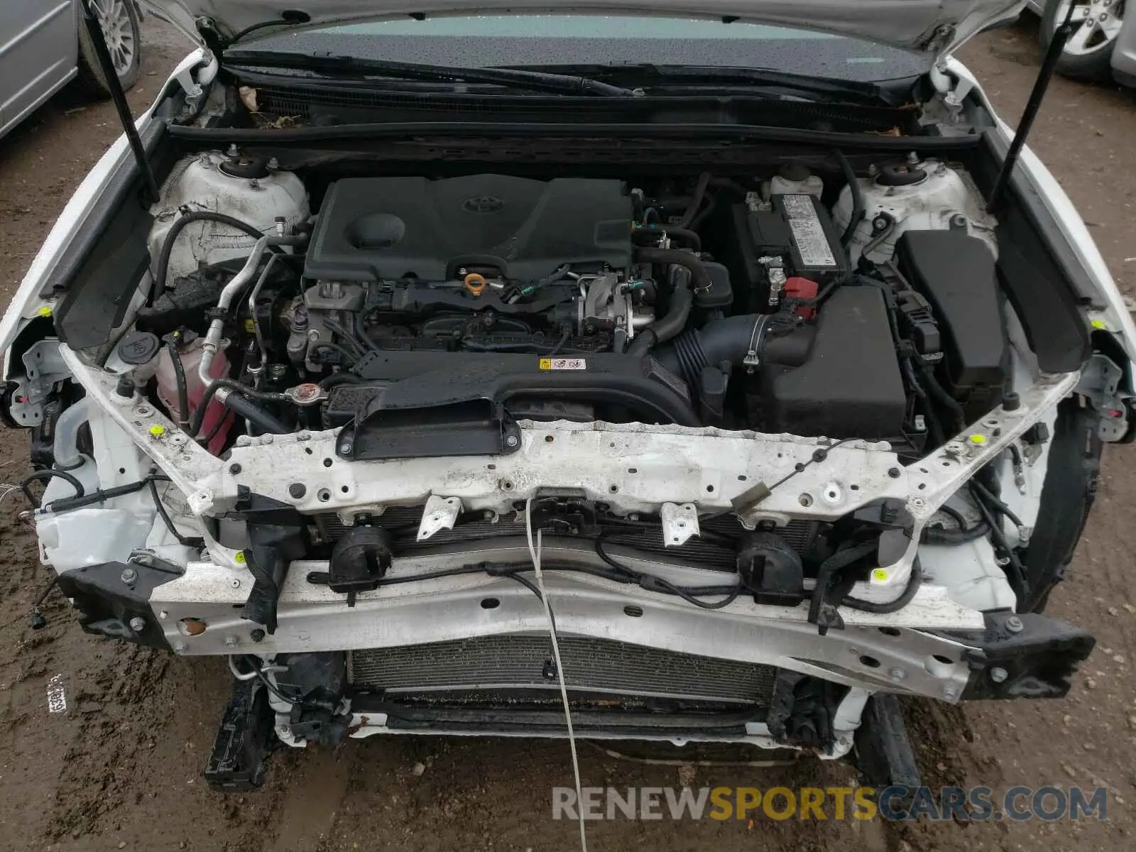 7 fotografías del automóvil dañado 4T1C11AK7LU316827 TOYOTA CAMRY 2020