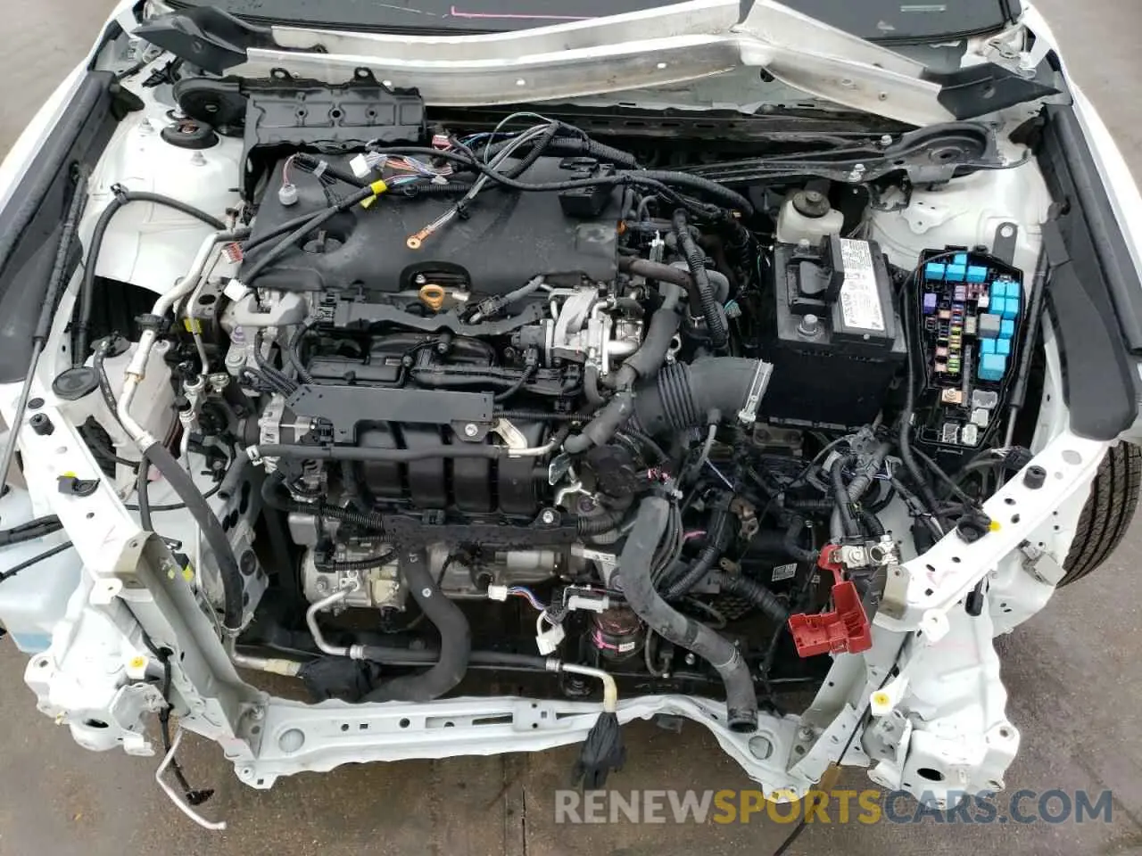 11 fotografías del automóvil dañado 4T1C11AK8LU901674 TOYOTA CAMRY 2020
