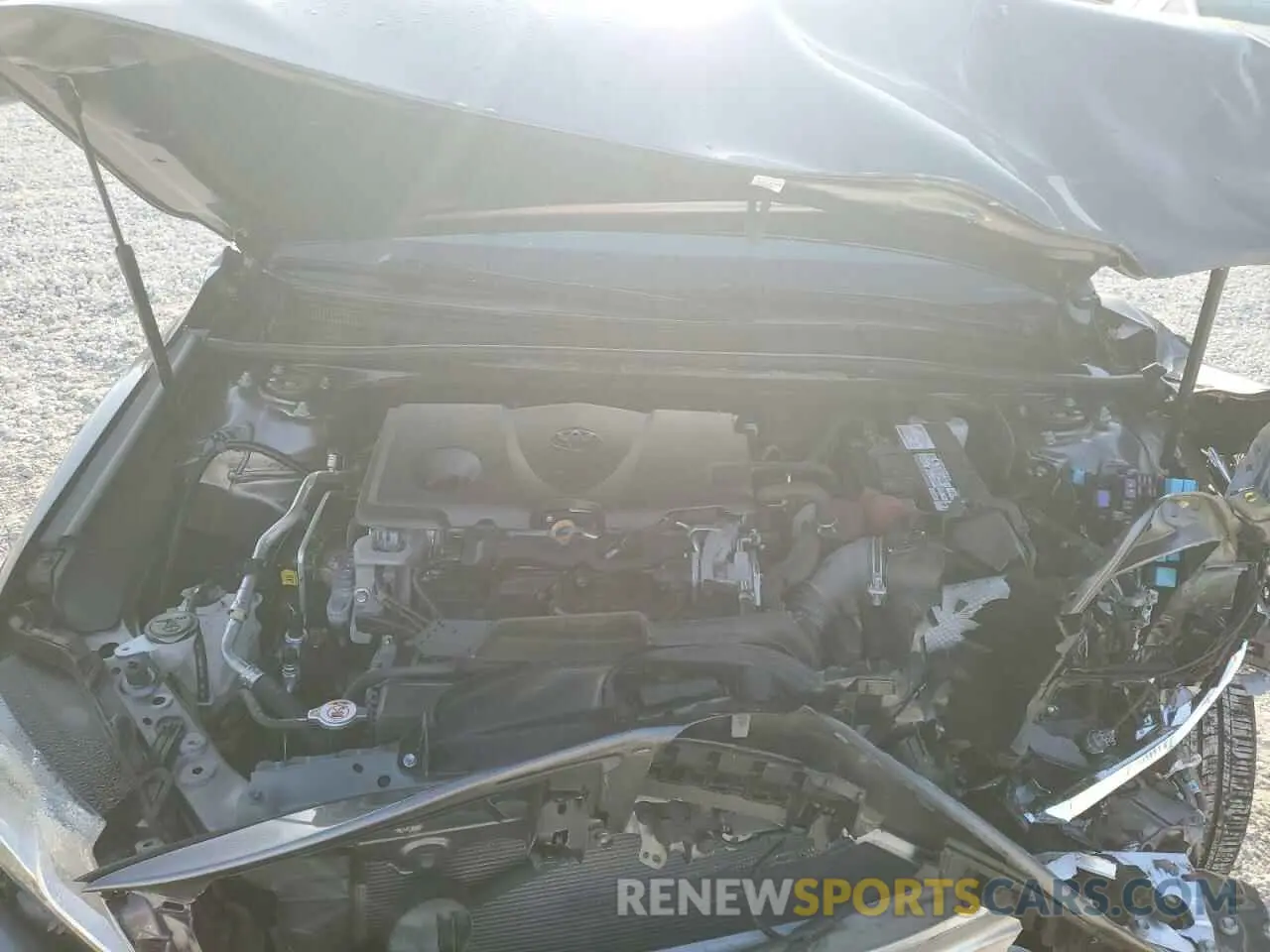 13 fotografías del automóvil dañado 4T1C11AK9LU900128 TOYOTA CAMRY 2020