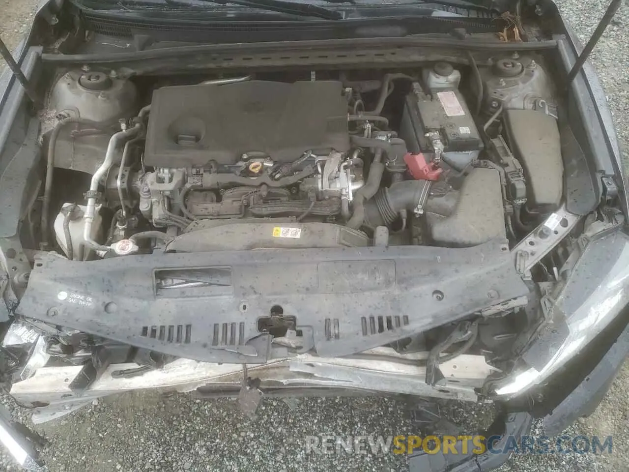 12 fotografías del automóvil dañado 4T1C11AK9LU923604 TOYOTA CAMRY 2020