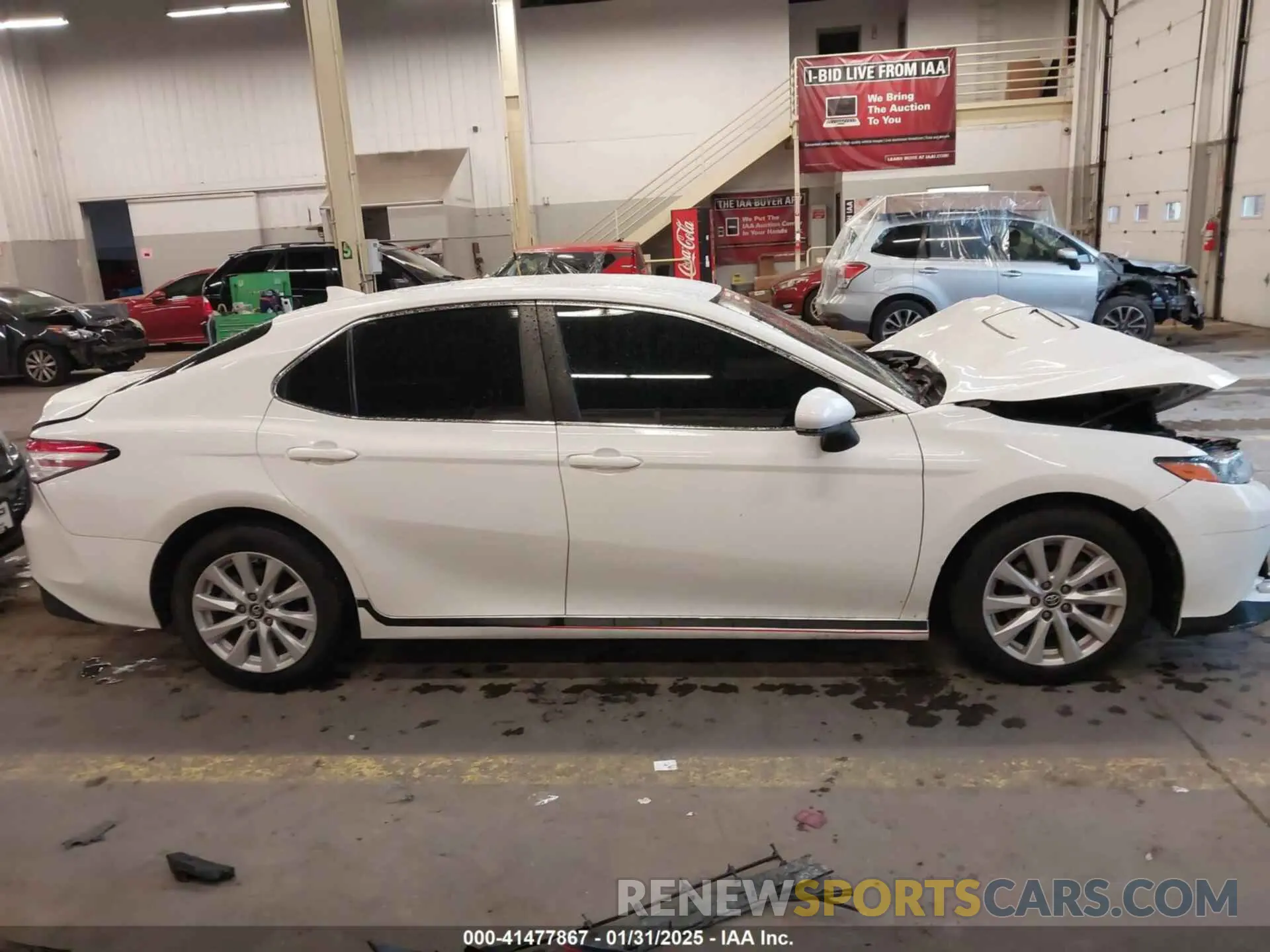 14 fotografías del automóvil dañado 4T1C11AKXLU916886 TOYOTA CAMRY 2020