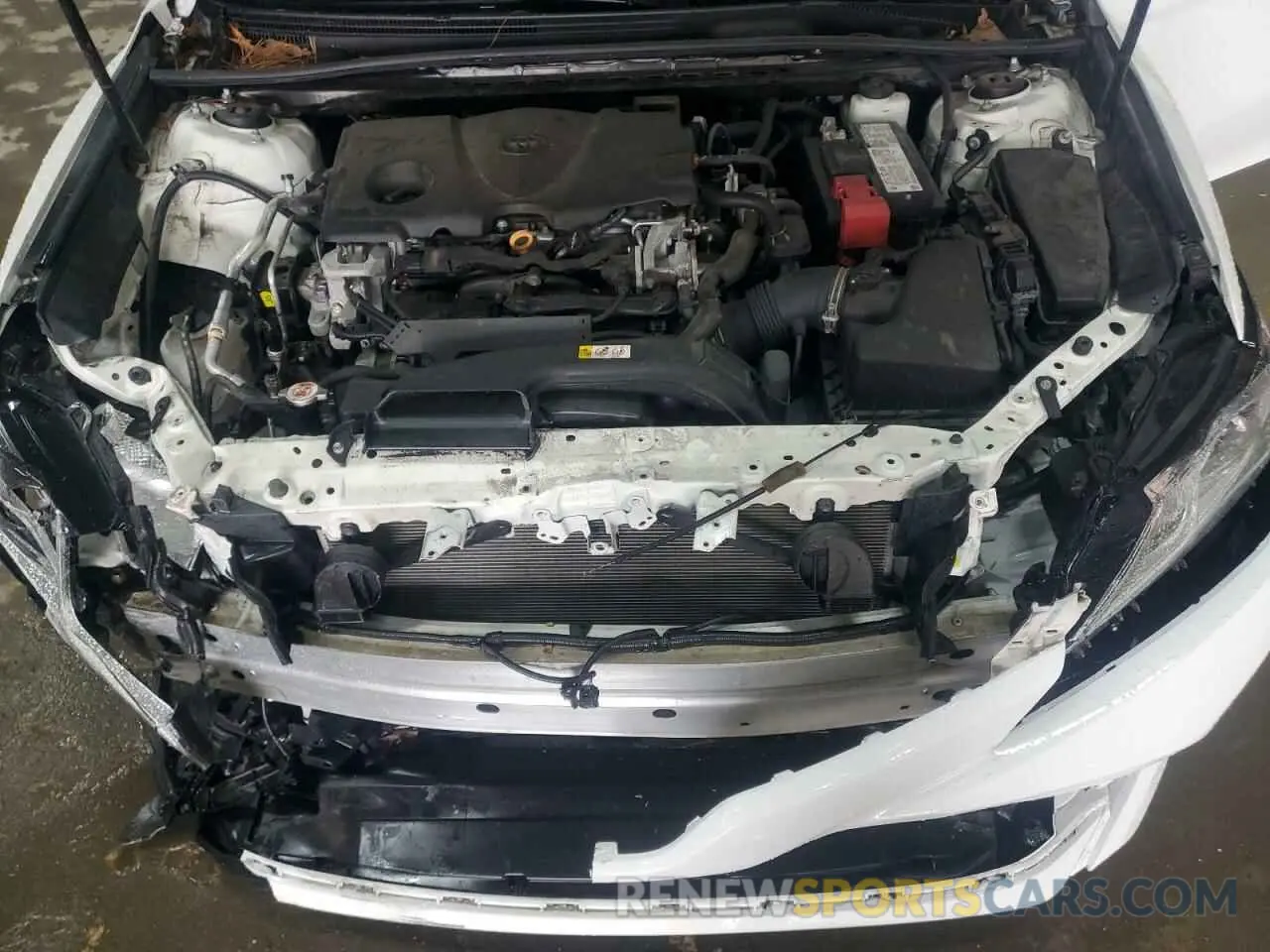 13 fotografías del automóvil dañado 4T1C11BK5LU014581 TOYOTA CAMRY 2020