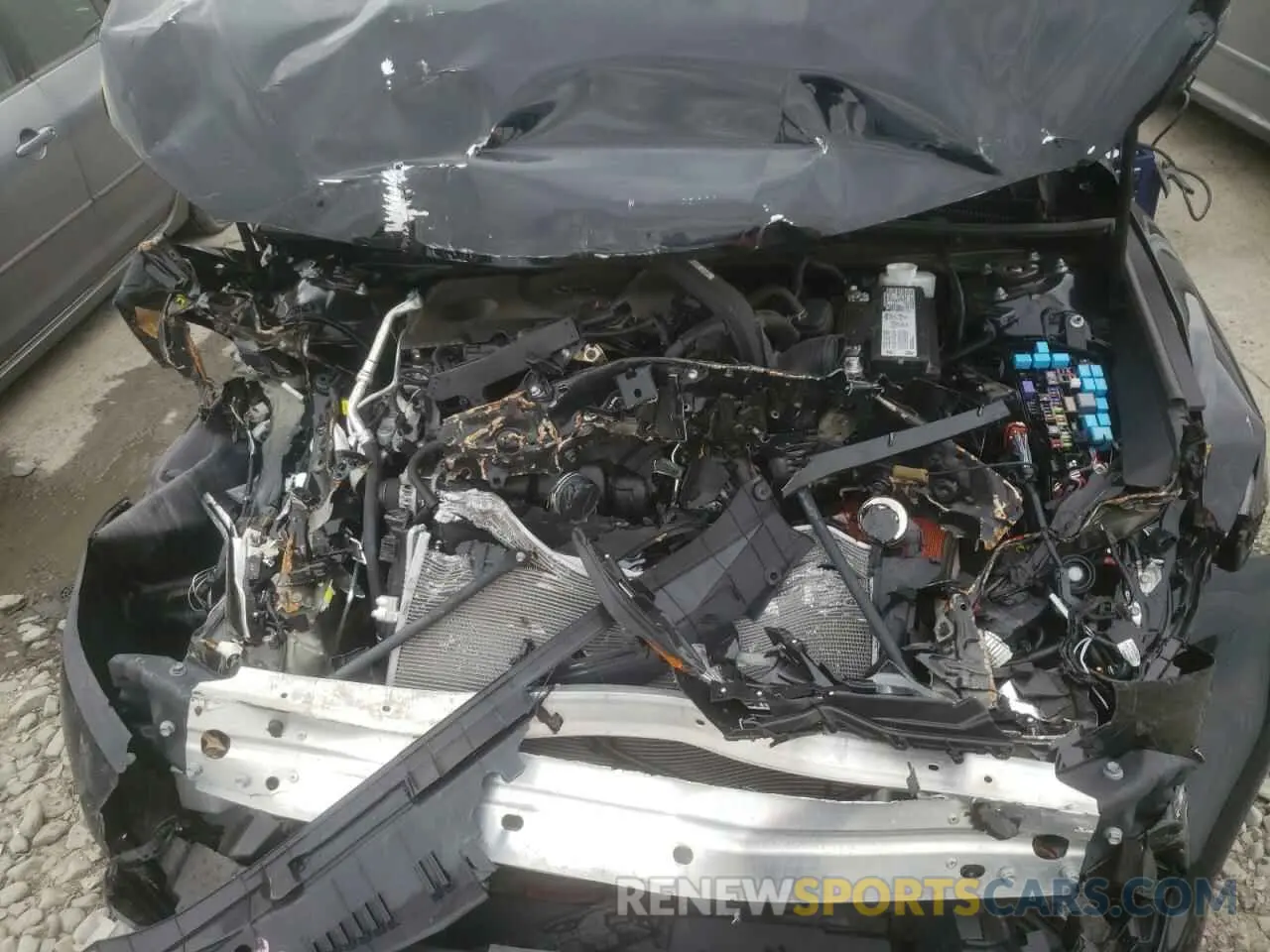 7 fotografías del automóvil dañado 4T1C11BKXLU008744 TOYOTA CAMRY 2020