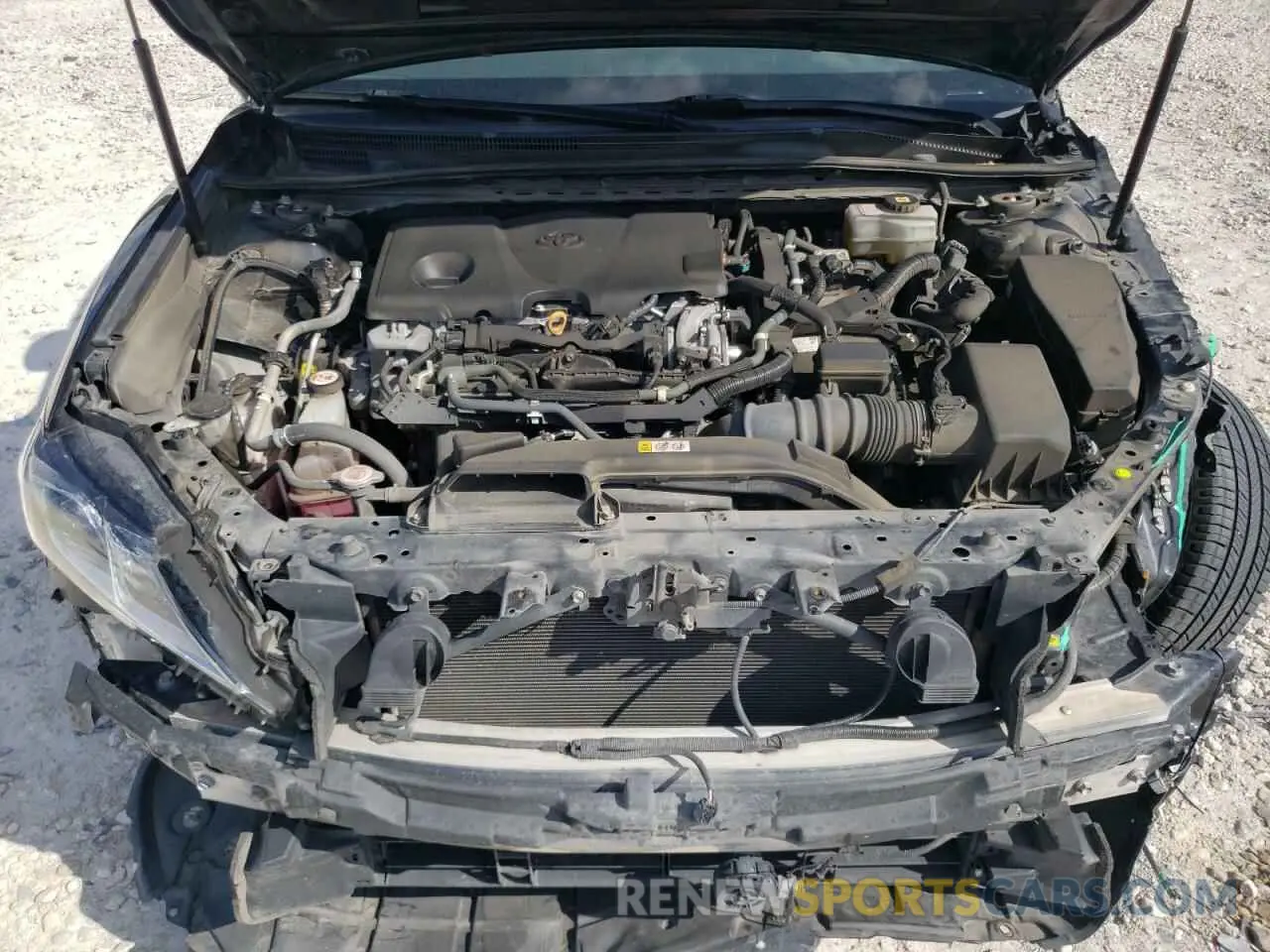 11 fotografías del automóvil dañado 4T1C31AK3LU544723 TOYOTA CAMRY 2020