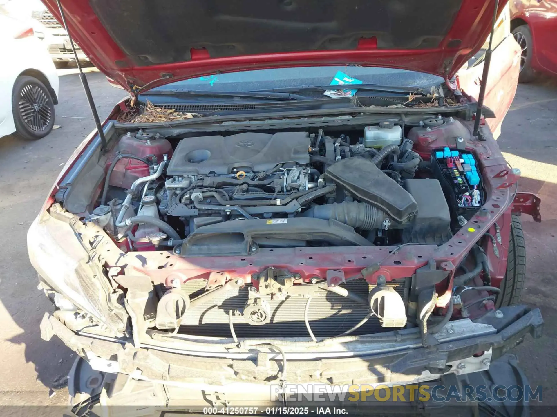 10 fotografías del automóvil dañado 4T1C31AK6LU530198 TOYOTA CAMRY 2020