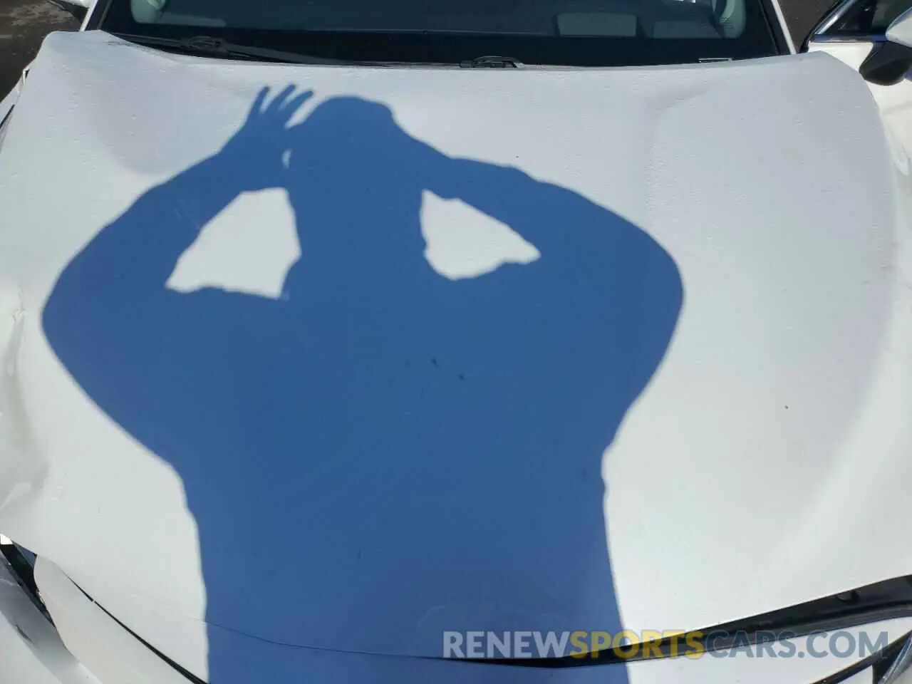 11 fotografías del automóvil dañado 4T1F11AK3LU926690 TOYOTA CAMRY 2020