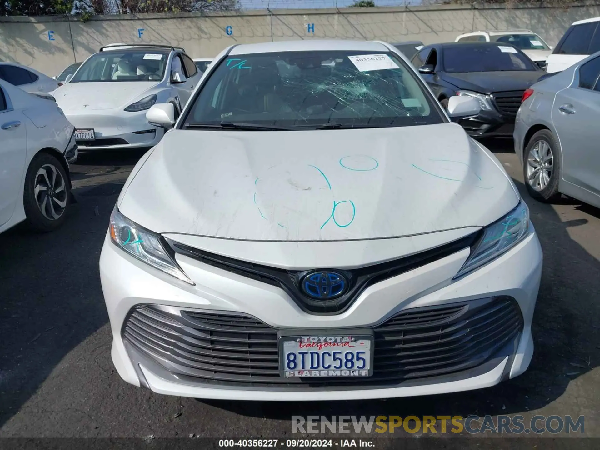 13 fotografías del automóvil dañado 4T1F31AK0LU542473 TOYOTA CAMRY 2020