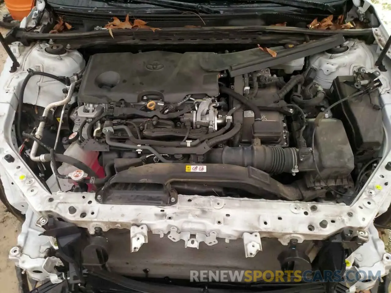 11 fotografías del automóvil dañado 4T1F31AK2LU524850 TOYOTA CAMRY 2020