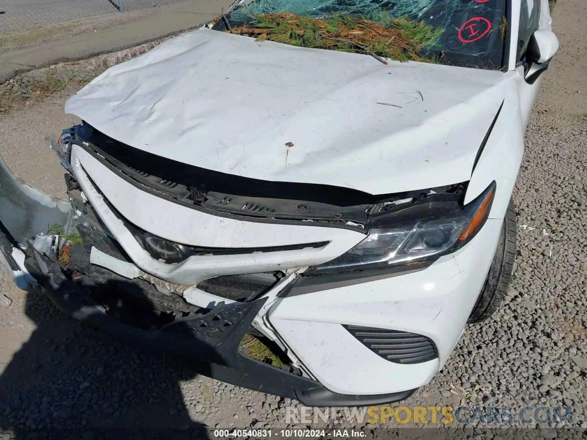 6 fotografías del automóvil dañado 4T1G11AK7LU967358 TOYOTA CAMRY 2020