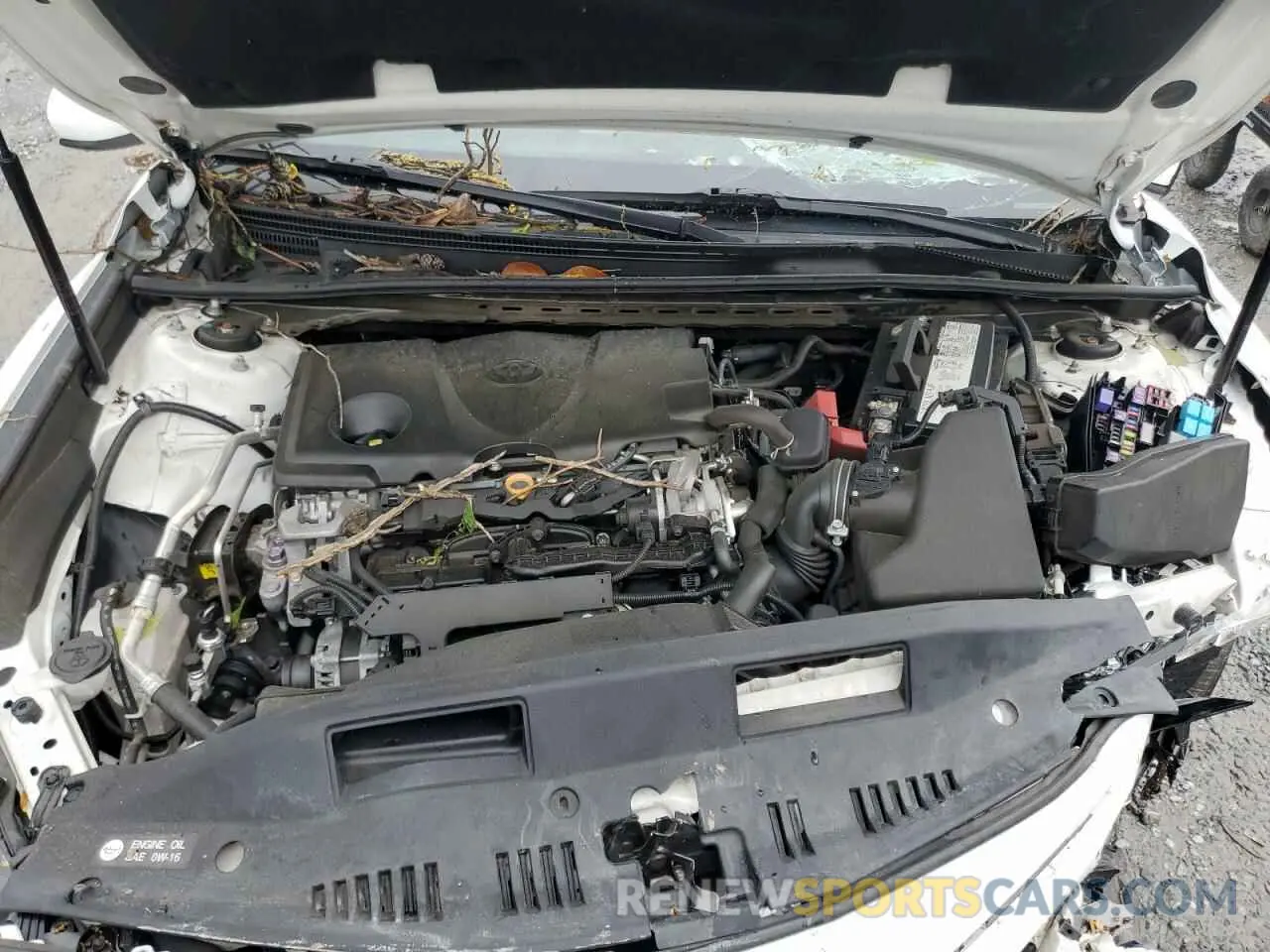 12 fotografías del automóvil dañado 4T1G11AK9LU345439 TOYOTA CAMRY 2020