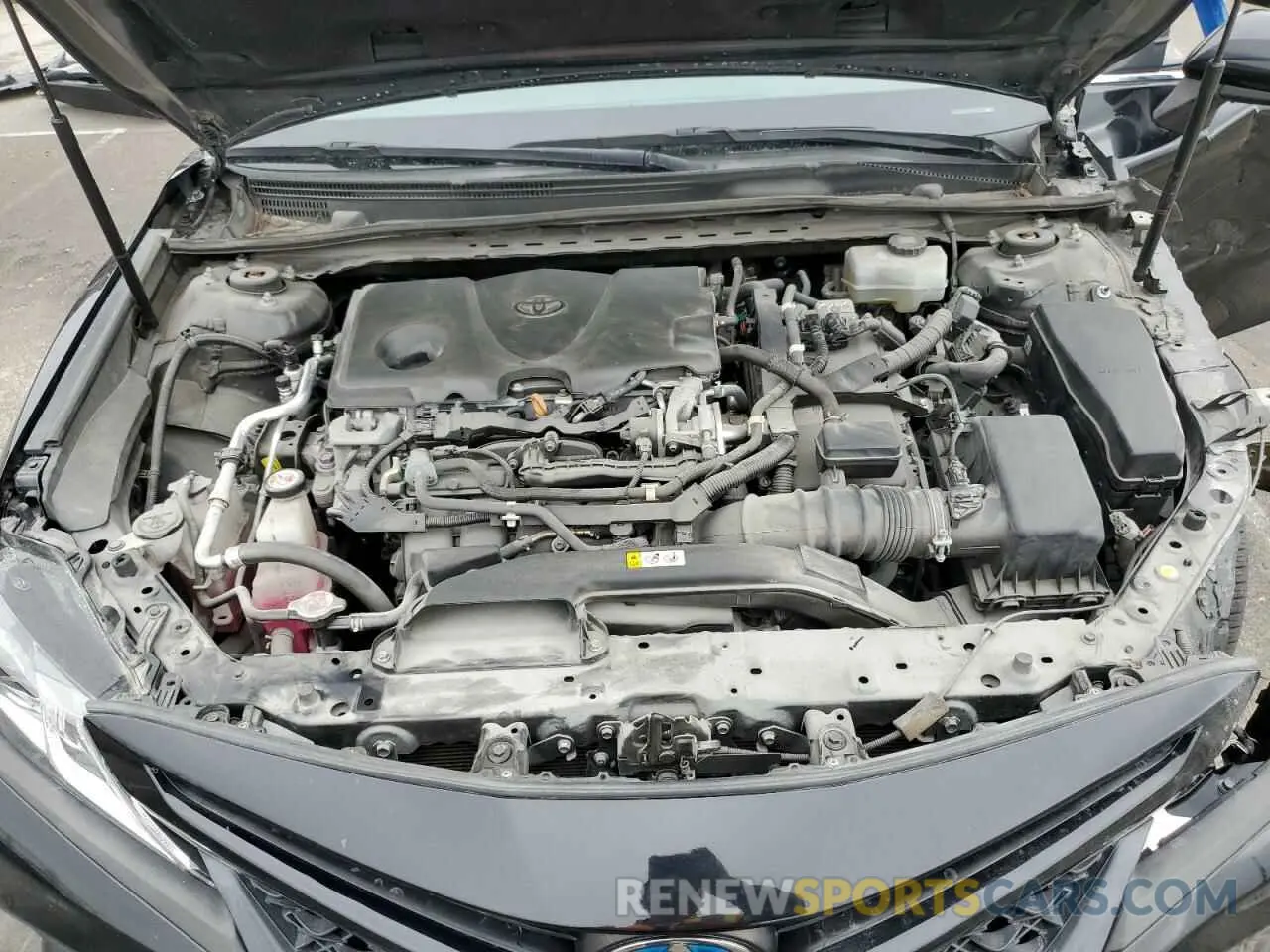 11 fotografías del automóvil dañado 4T1G31AK5LU011354 TOYOTA CAMRY 2020
