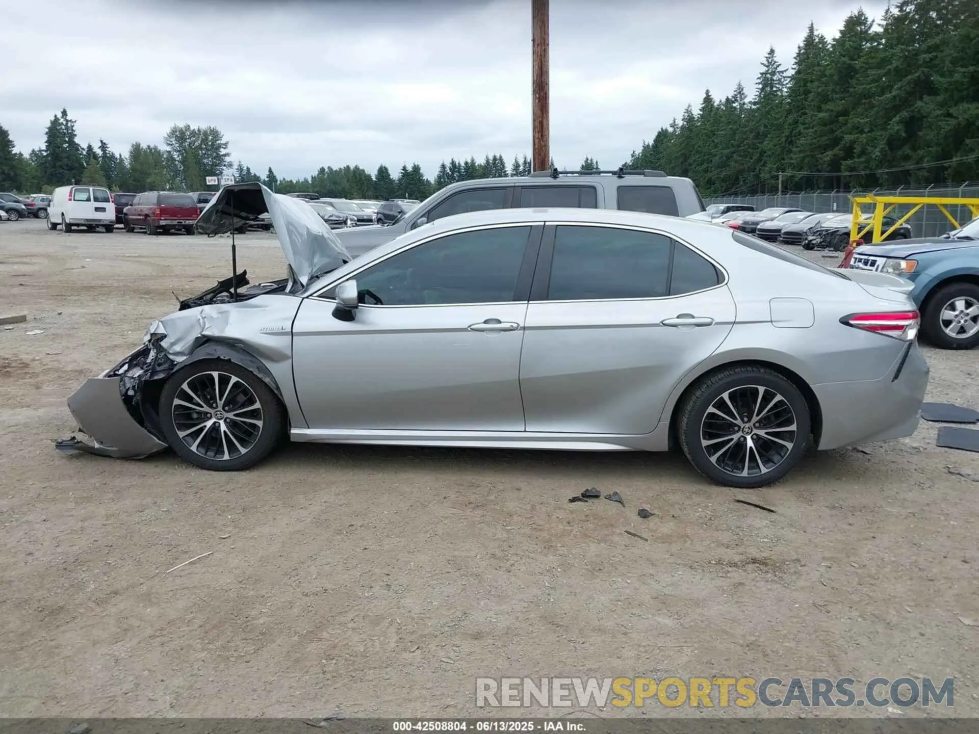 14 fotografías del automóvil dañado 4T1G31AK8LU014717 TOYOTA CAMRY 2020