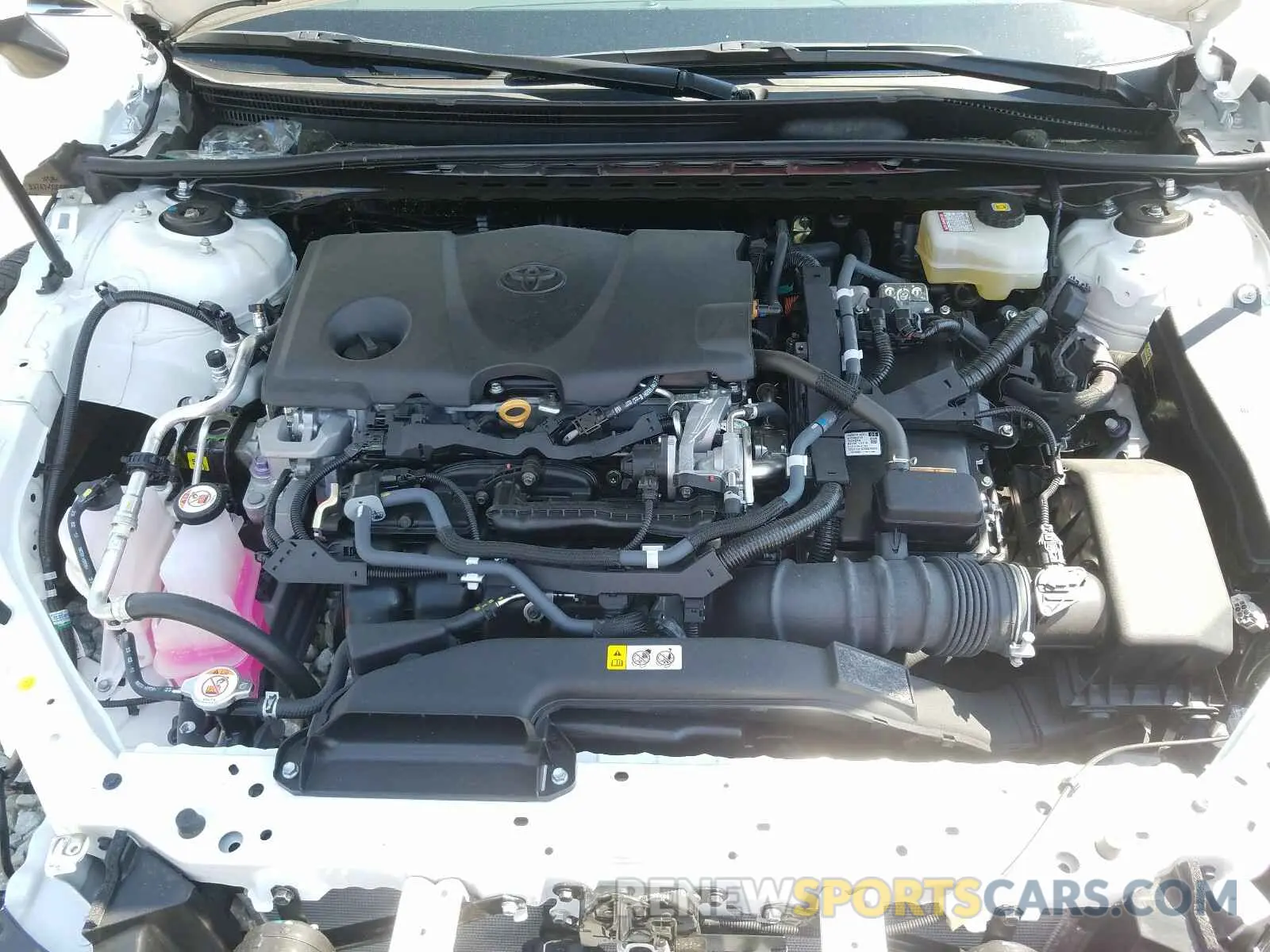 7 fotografías del automóvil dañado 4T1J31AK1LU519052 TOYOTA CAMRY 2020