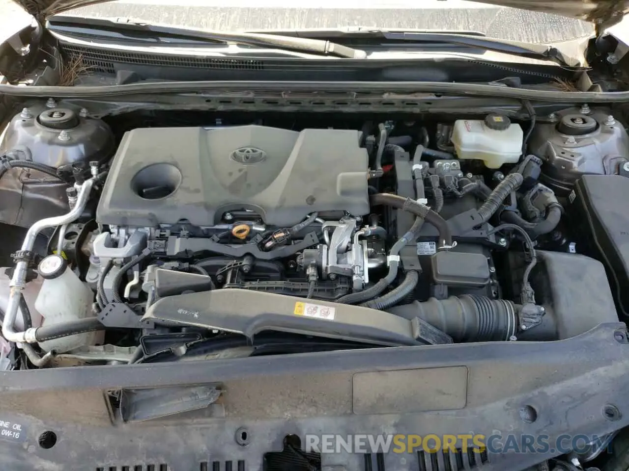 7 fotografías del automóvil dañado 4T1J31AK3LU014145 TOYOTA CAMRY 2020