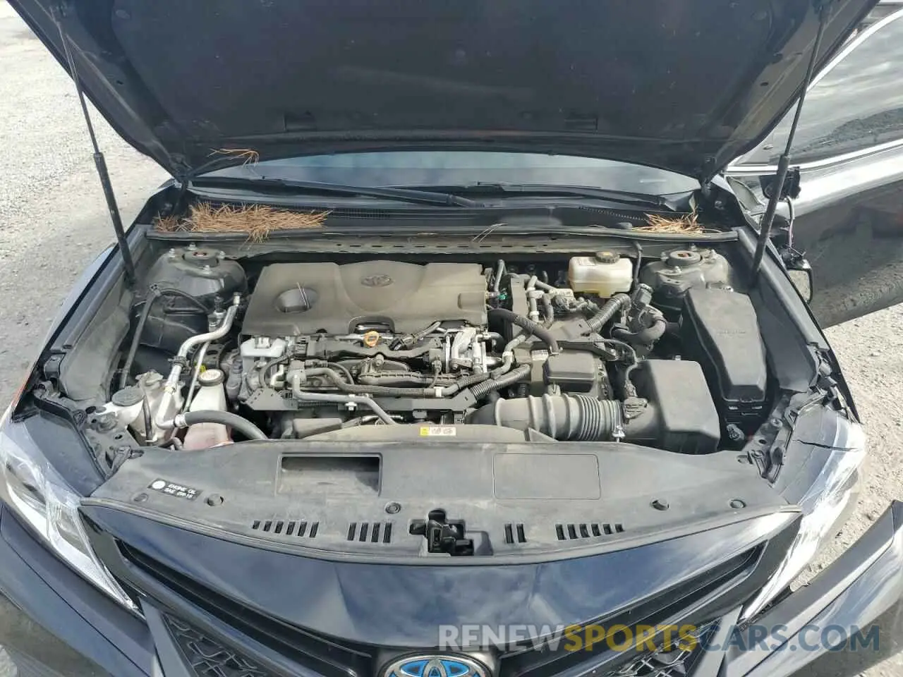 11 fotografías del automóvil dañado 4T1J31AK4LU012632 TOYOTA CAMRY 2020