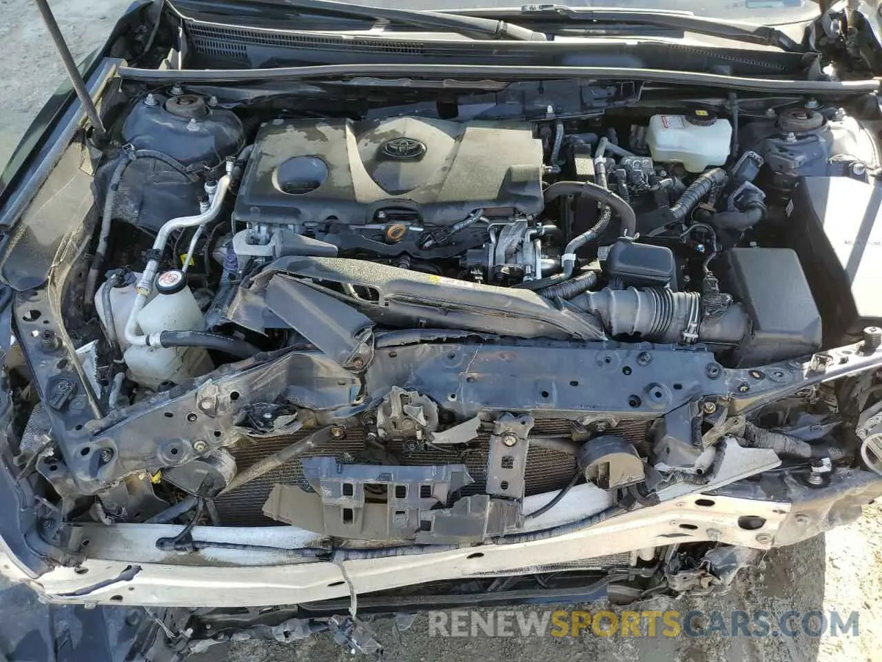11 fotografías del automóvil dañado 4T1J31AK4LU524696 TOYOTA CAMRY 2020