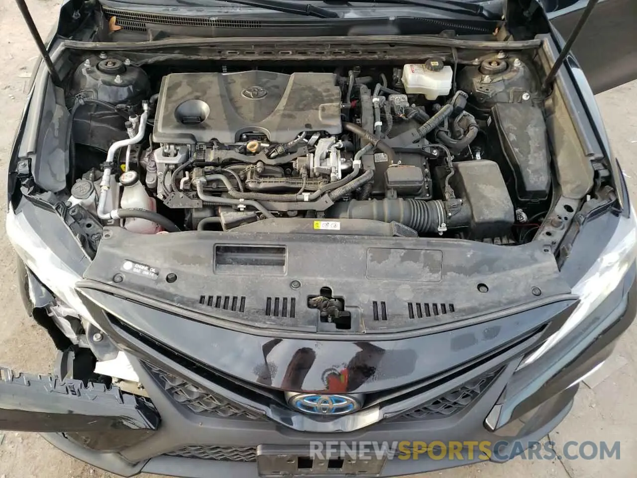 11 fotografías del automóvil dañado 4T1J31AK6LU544111 TOYOTA CAMRY 2020