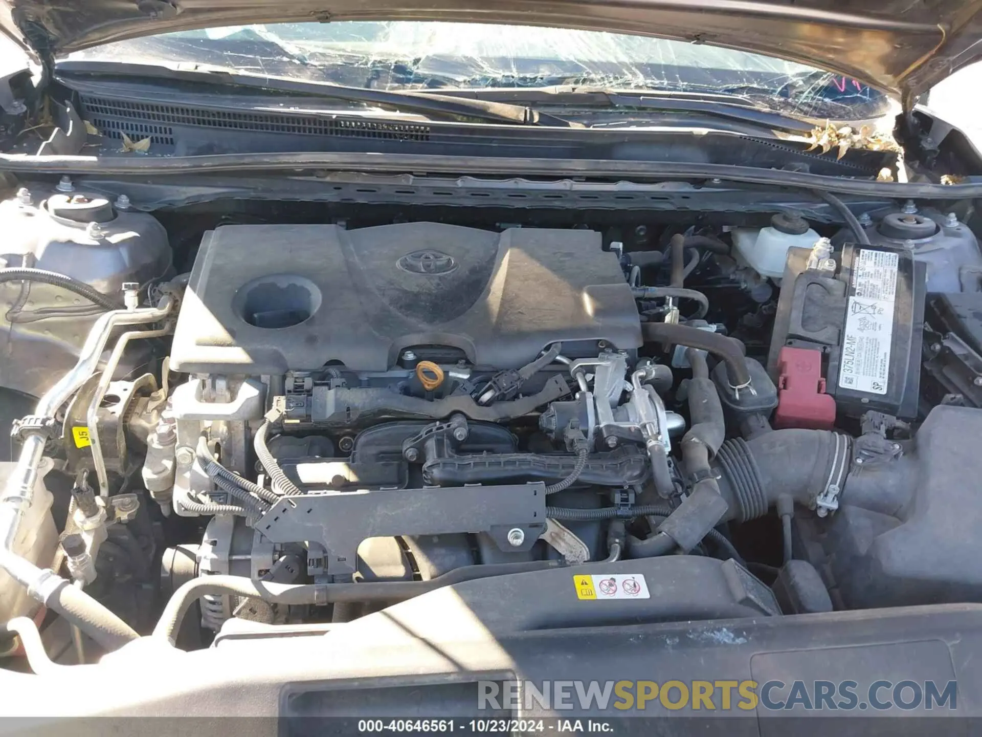 10 fotografías del automóvil dañado 4T1L11AK6LU951828 TOYOTA CAMRY 2020