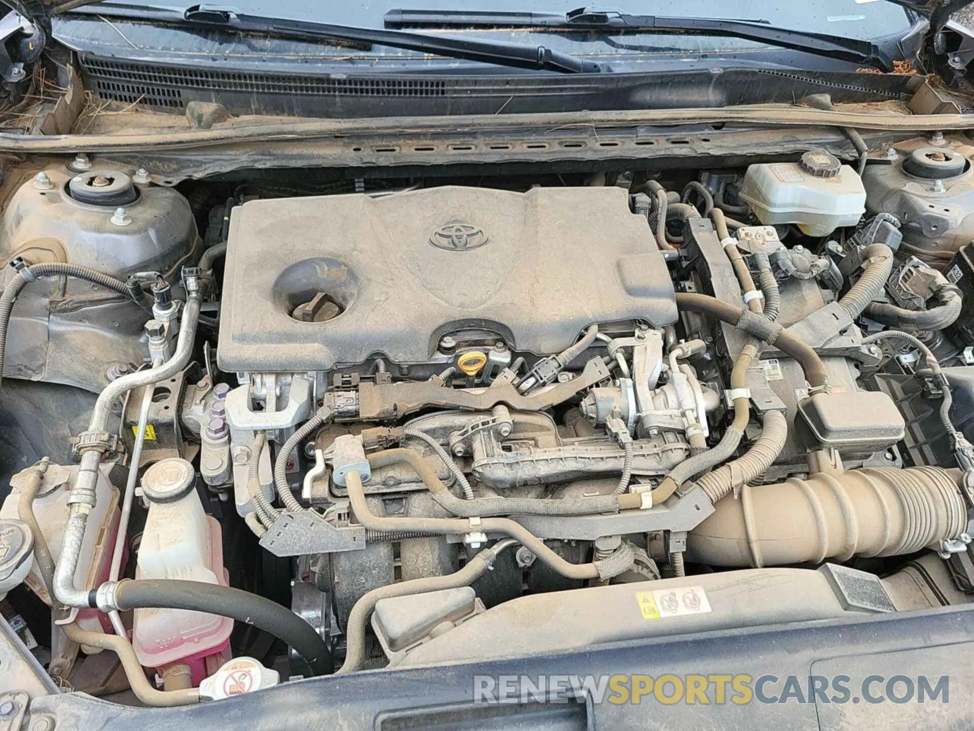 16 fotografías del automóvil dañado 4T1L31AK6LU536910 TOYOTA CAMRY 2020