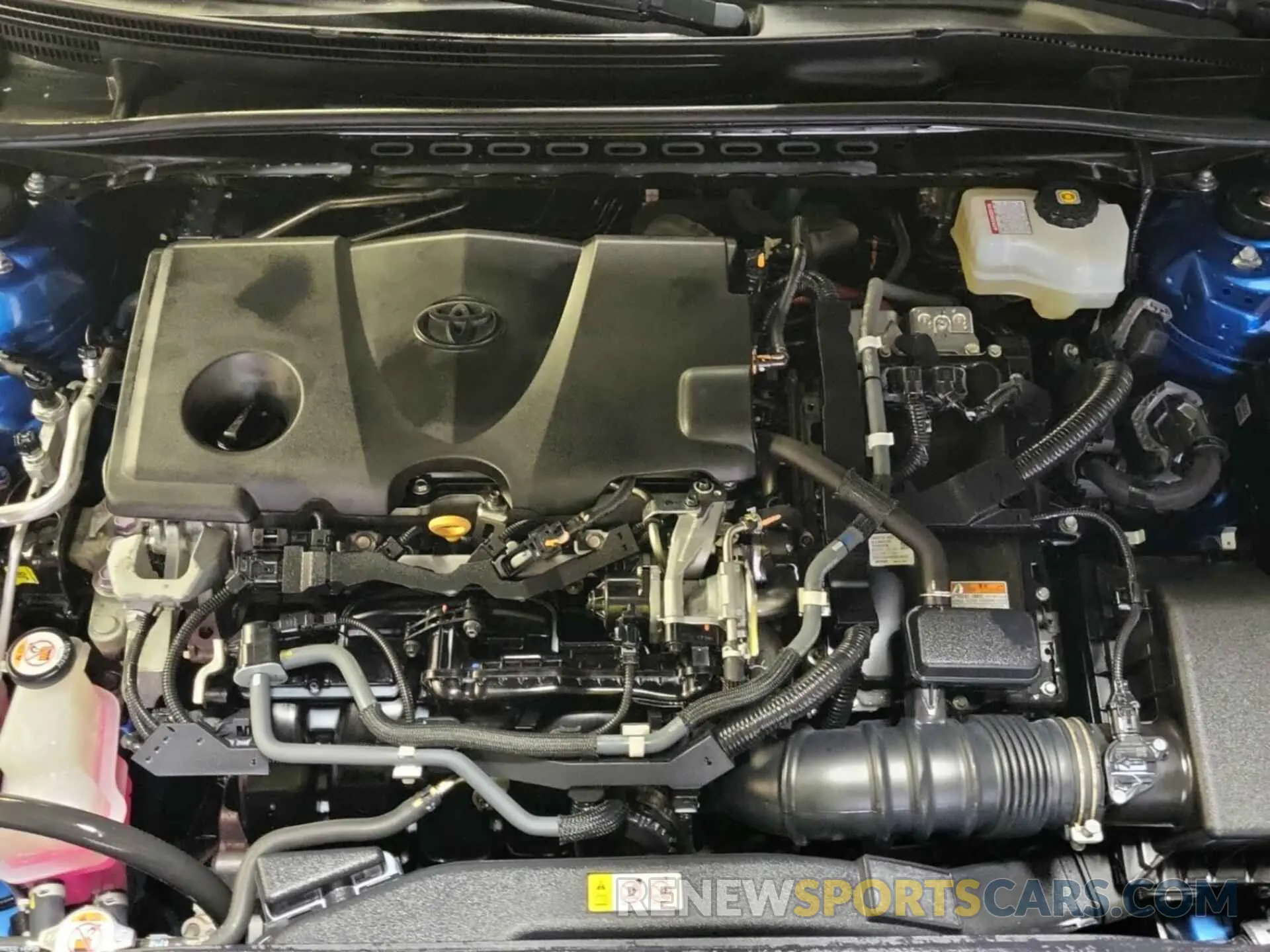 9 fotografías del automóvil dañado 4T1L31AK9LU014935 TOYOTA CAMRY 2020