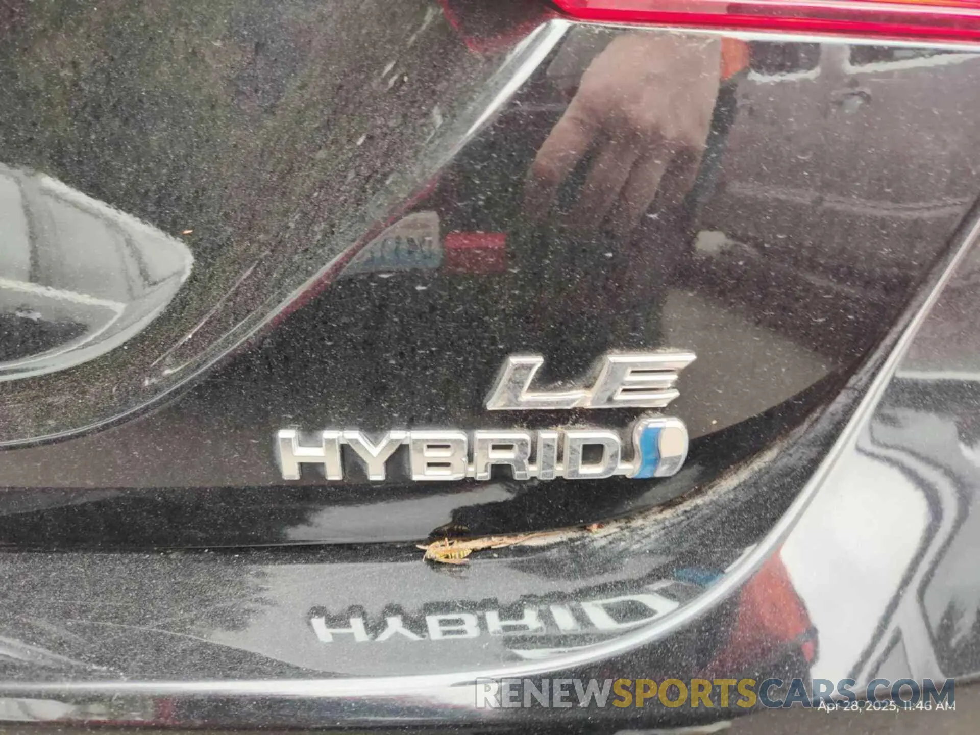 22 fotografías del automóvil dañado 4T1L31AK9LU536464 TOYOTA CAMRY 2020
