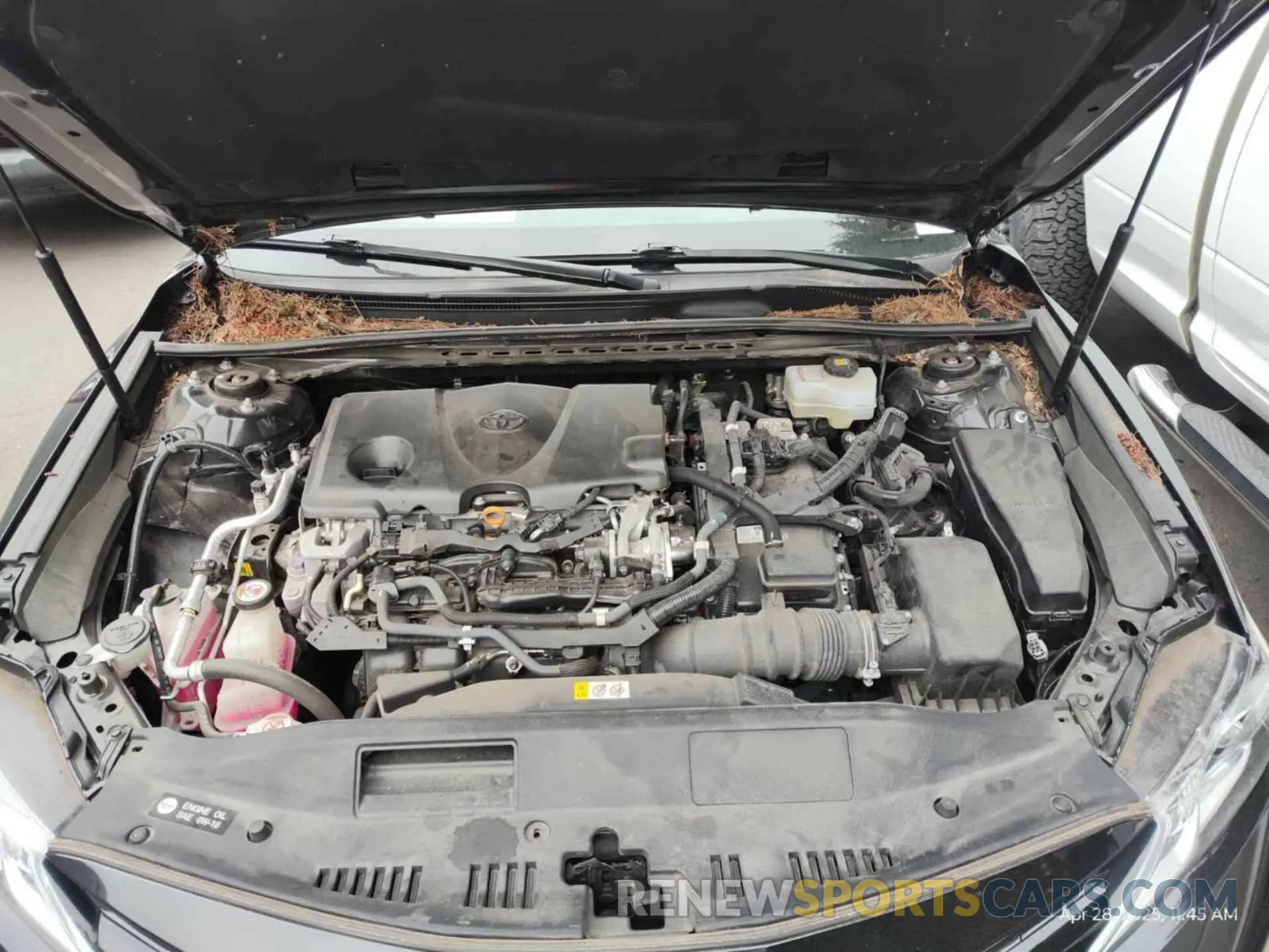 27 fotografías del automóvil dañado 4T1L31AK9LU536464 TOYOTA CAMRY 2020