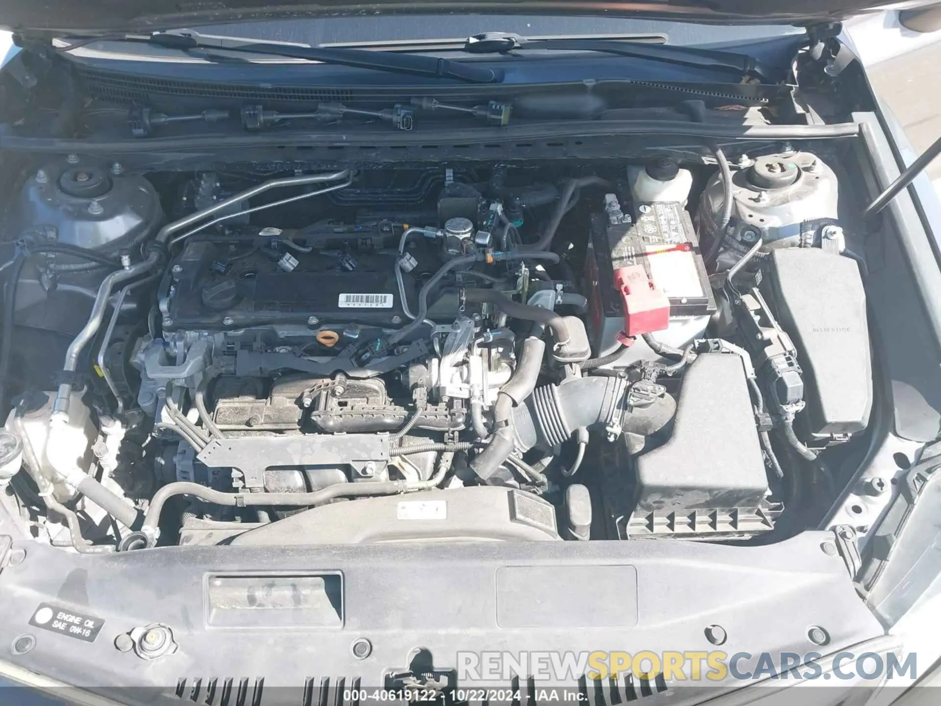 10 fotografías del automóvil dañado 4T1M11AK1LU318531 TOYOTA CAMRY 2020