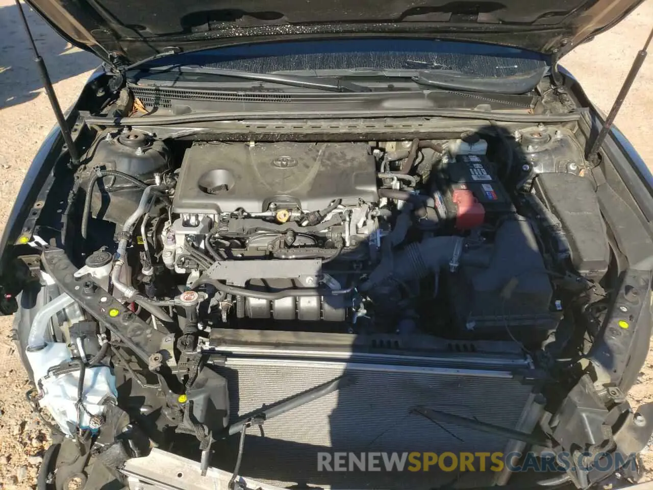 11 fotografías del automóvil dañado 4T1M11AK3LU916166 TOYOTA CAMRY 2020