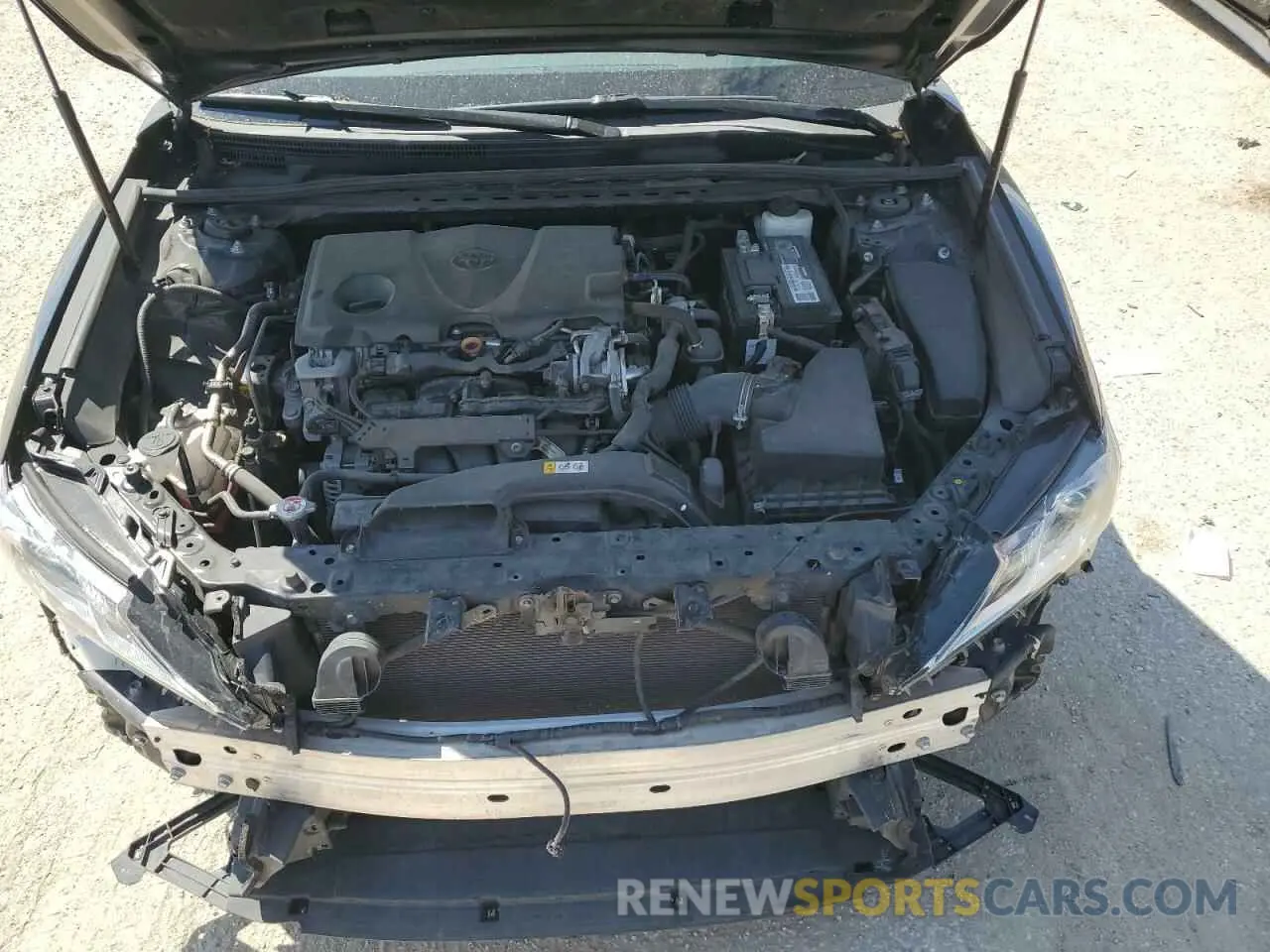 11 fotografías del automóvil dañado 4T1M11AK6LU883261 TOYOTA CAMRY 2020