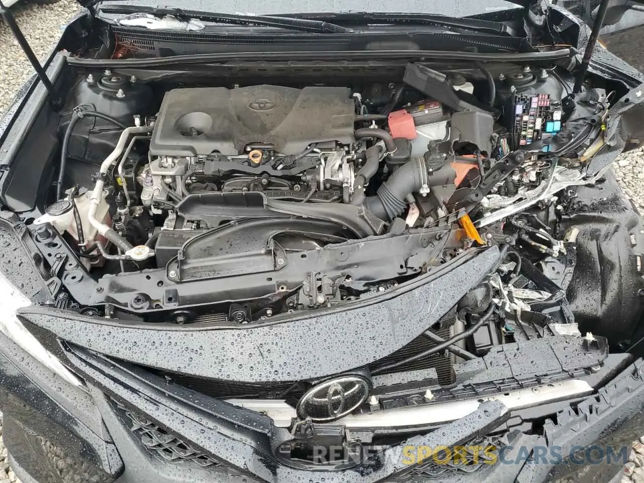 11 fotografías del automóvil dañado 4T1M11AK8LU881821 TOYOTA CAMRY 2020
