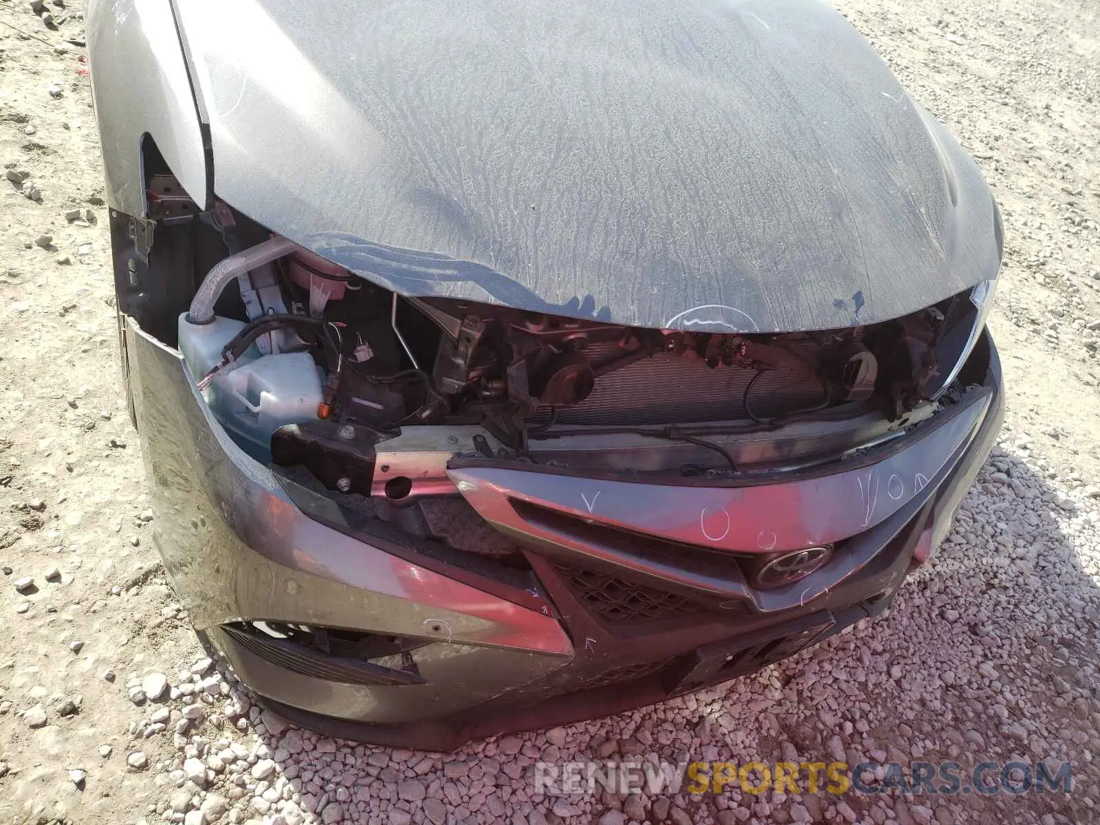 9 fotografías del automóvil dañado 4T1M11AK9LU858404 TOYOTA CAMRY 2020