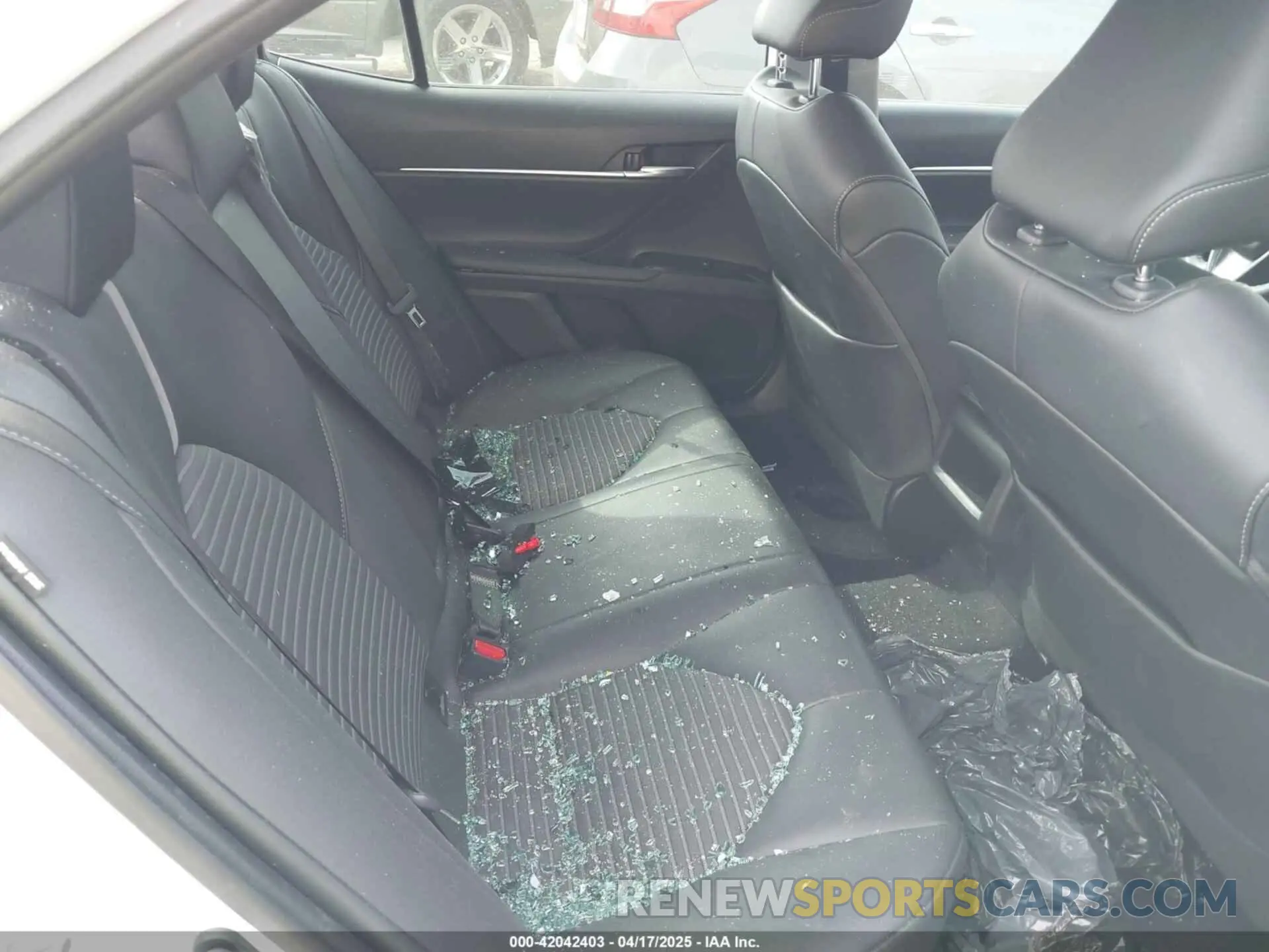 8 fotografías del automóvil dañado 4T1M11AKXLU392725 TOYOTA CAMRY 2020