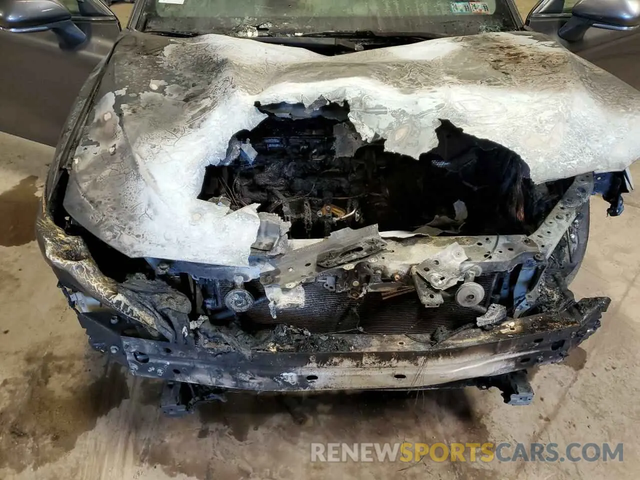 11 fotografías del automóvil dañado 4T1M11BK2LU007740 TOYOTA CAMRY 2020