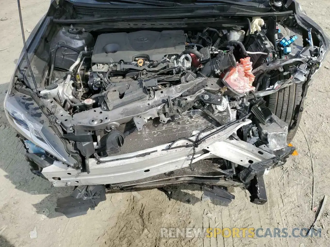 12 fotografías del automóvil dañado 4T1C11AK0MU490448 TOYOTA CAMRY 2021