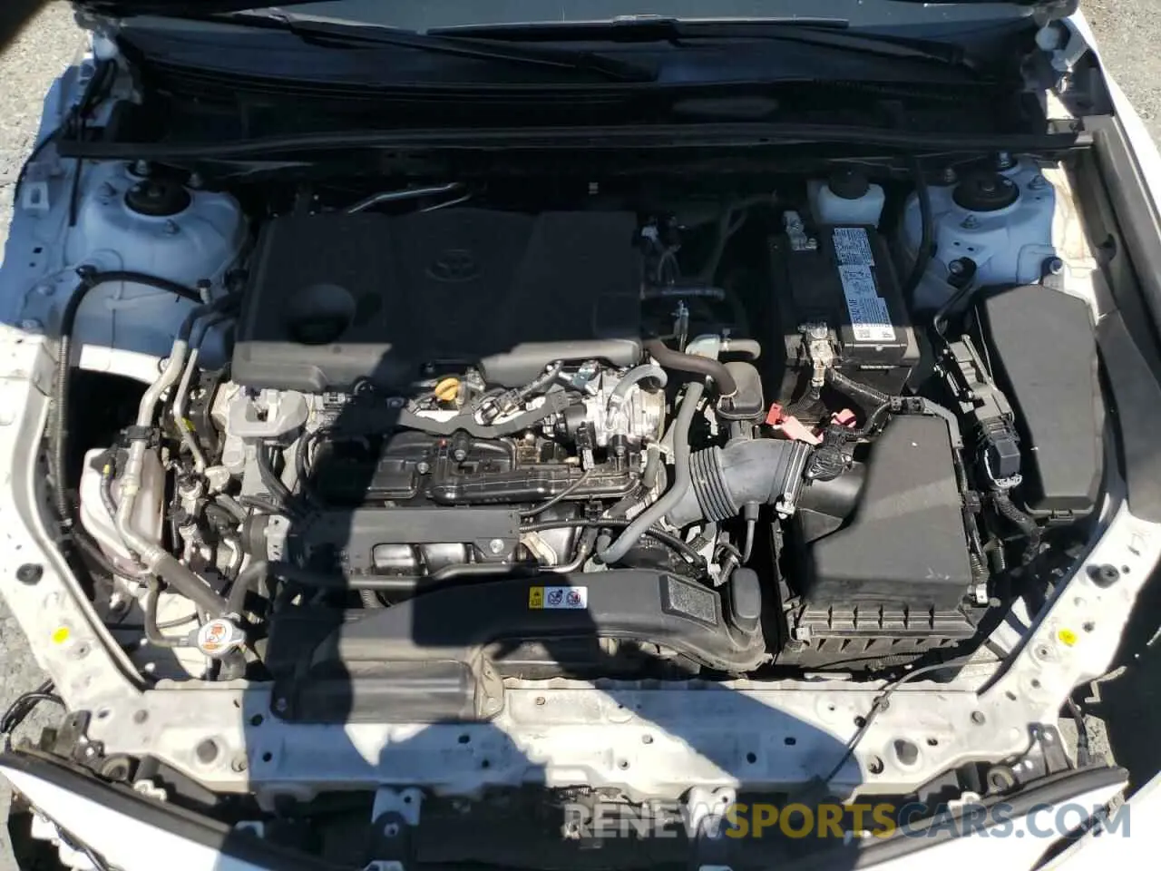 11 fotografías del automóvil dañado 4T1C11AK0MU570008 TOYOTA CAMRY 2021