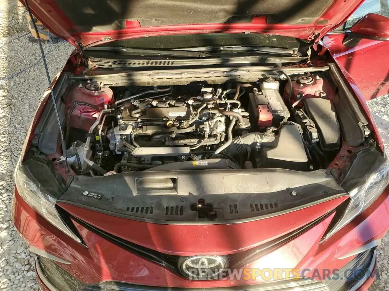 11 fotografías del automóvil dañado 4T1C11AK1MU403849 TOYOTA CAMRY 2021