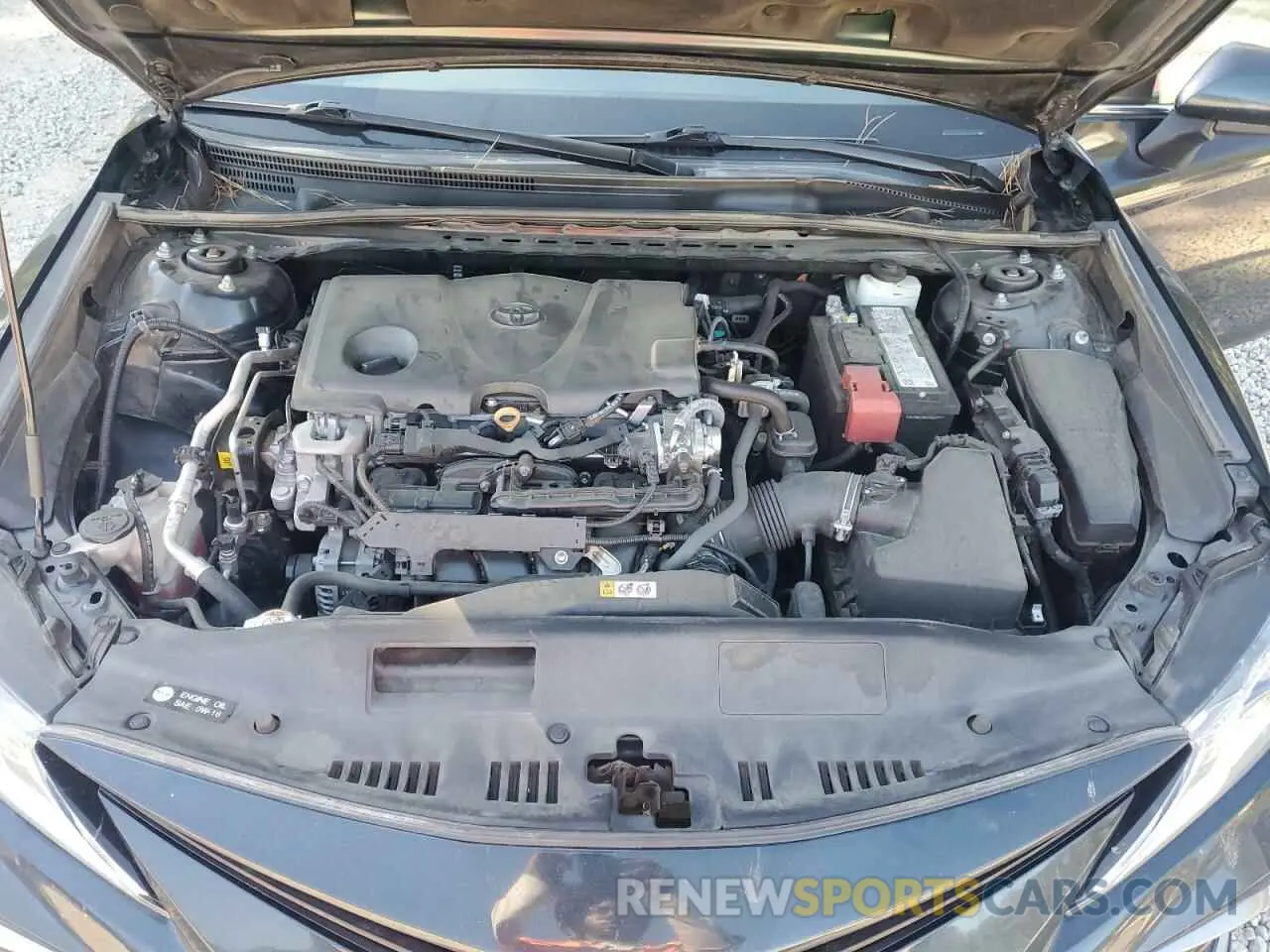 11 fotografías del automóvil dañado 4T1C11AK1MU422014 TOYOTA CAMRY 2021