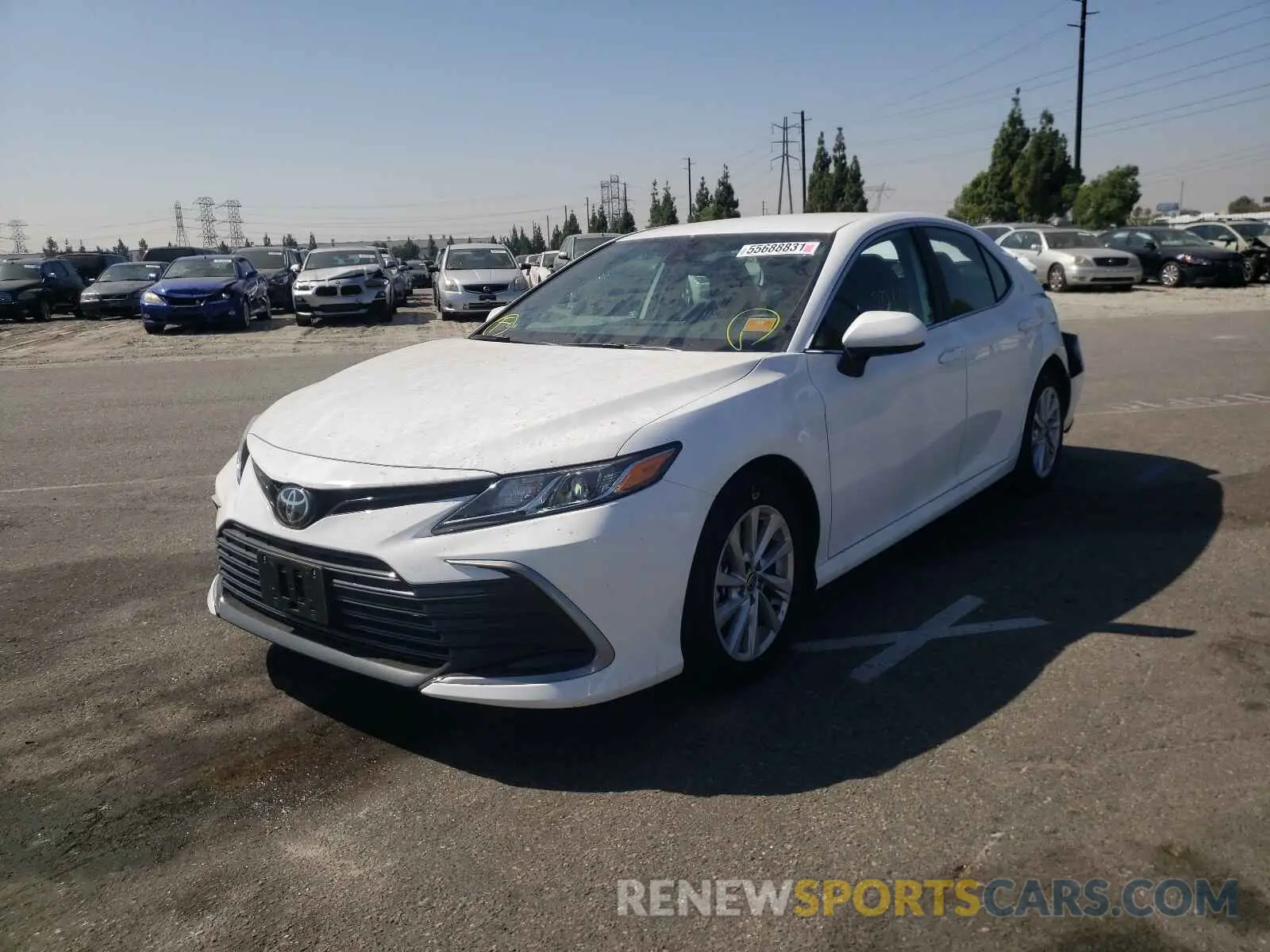 2 fotografías del automóvil dañado 4T1C11AK1MU560393 TOYOTA CAMRY 2021