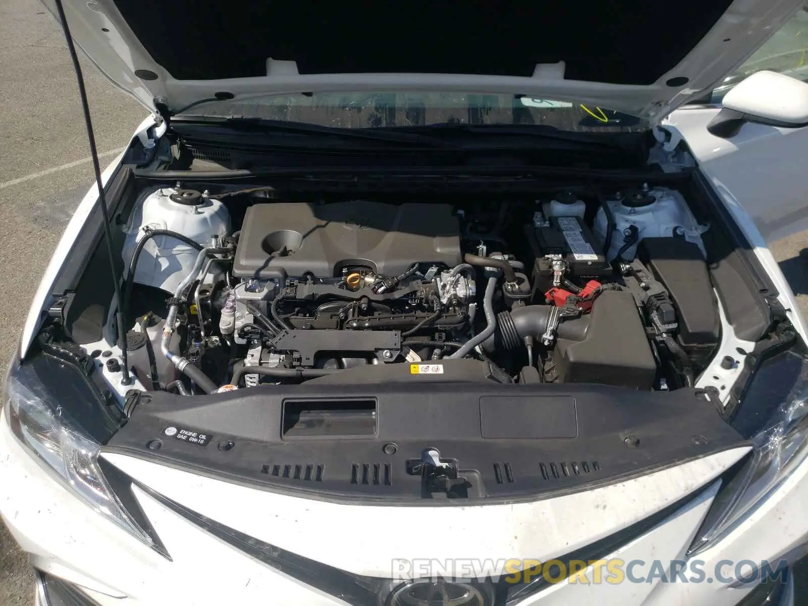 7 fotografías del automóvil dañado 4T1C11AK1MU560393 TOYOTA CAMRY 2021