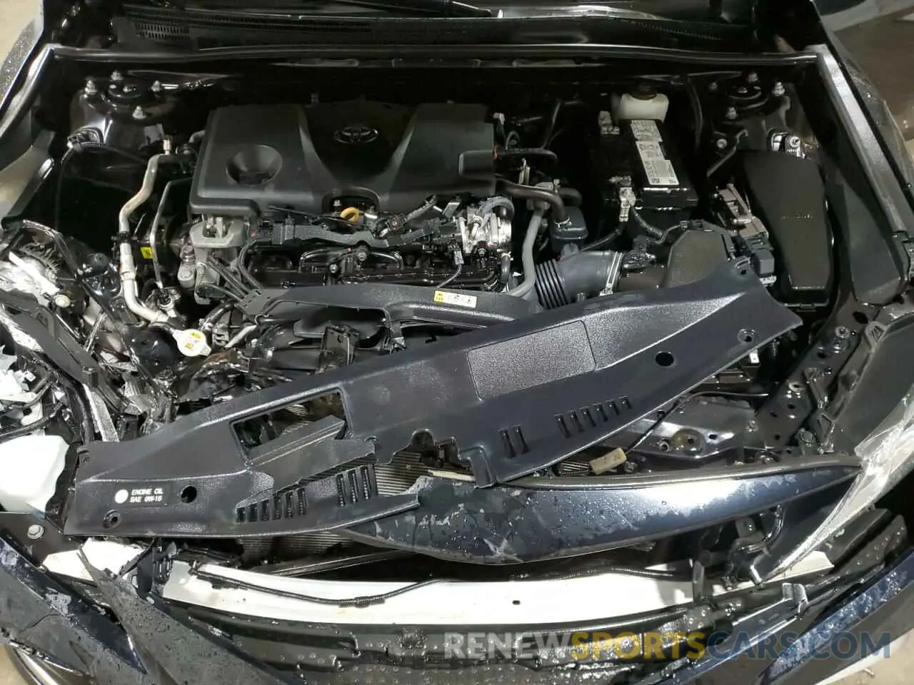 11 fotografías del automóvil dañado 4T1C11AK1MU591658 TOYOTA CAMRY 2021